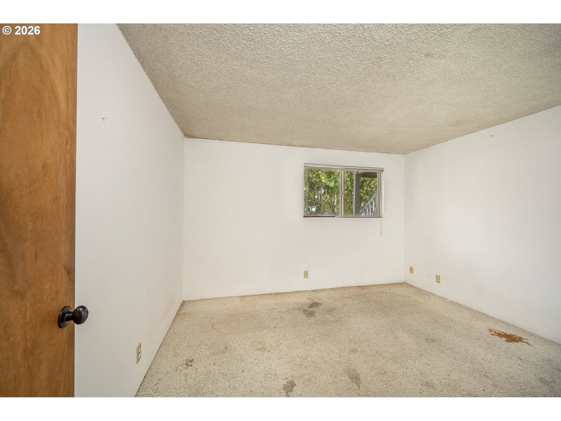 2239 Hawkins Ln Property Photo 13