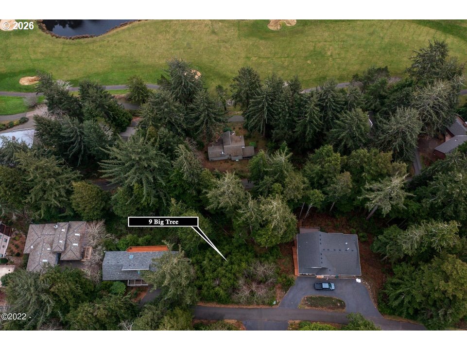9 Big Tree Rd Property Photo 3