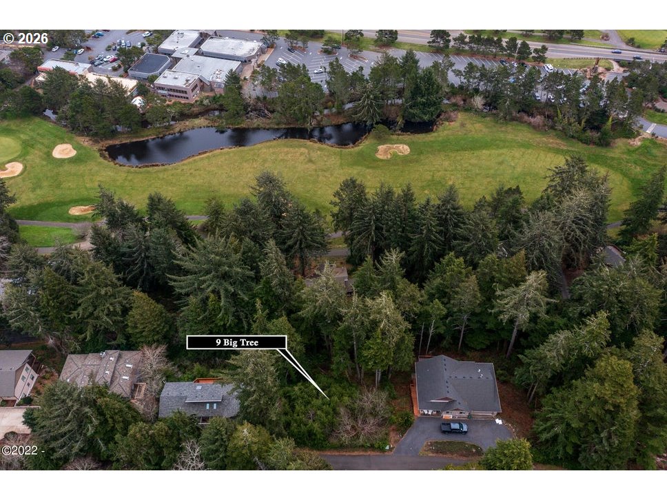 9 Big Tree Rd Property Photo 4
