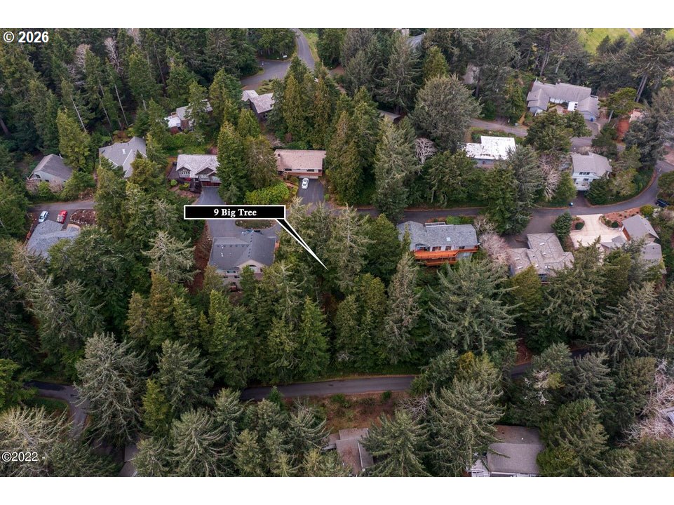 9 Big Tree Rd Property Photo 5