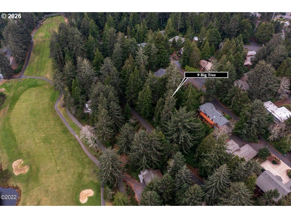 9 Big Tree Rd Property Photo 6