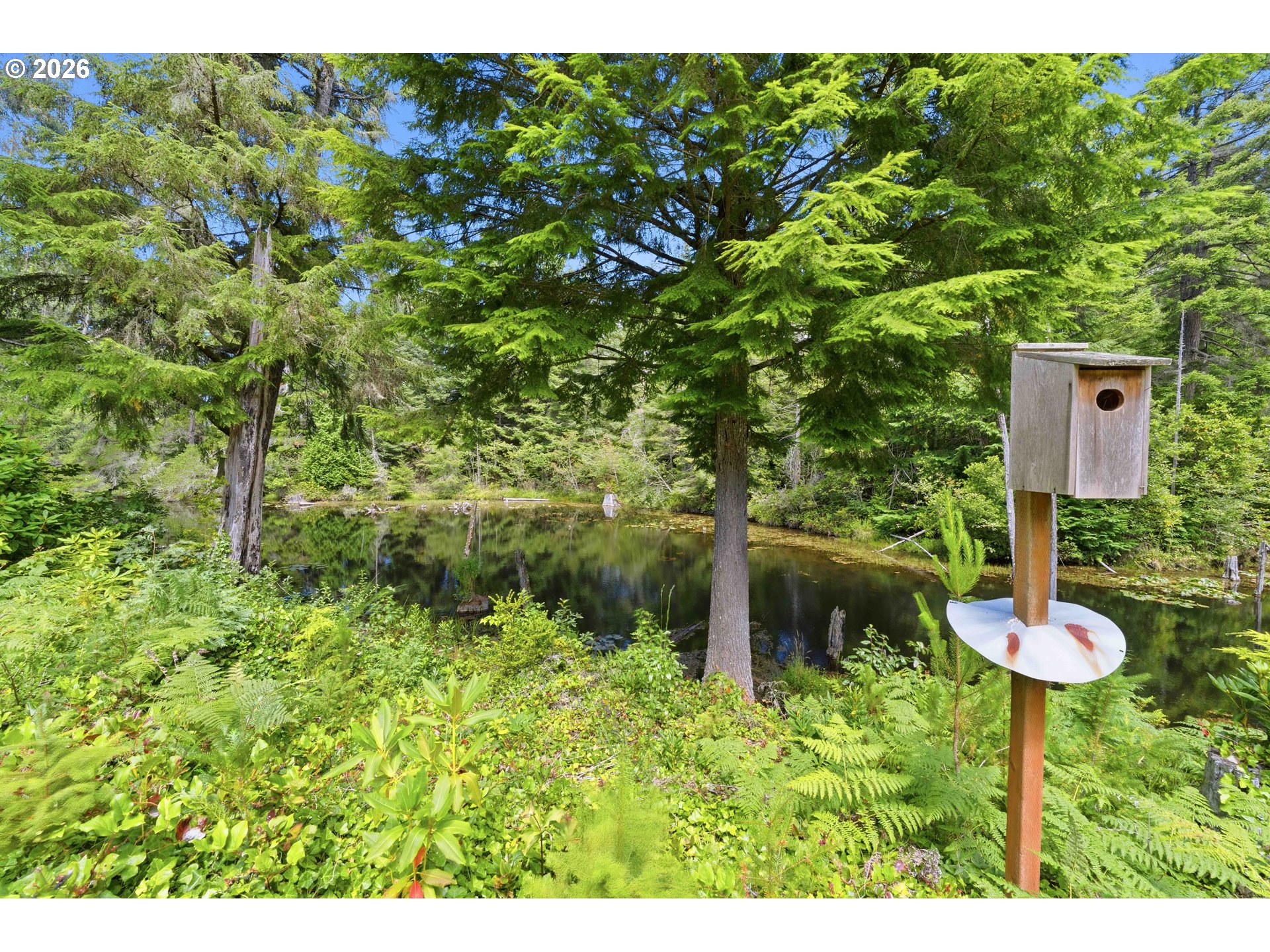 55980 Fishtale Rd Property Photo 13