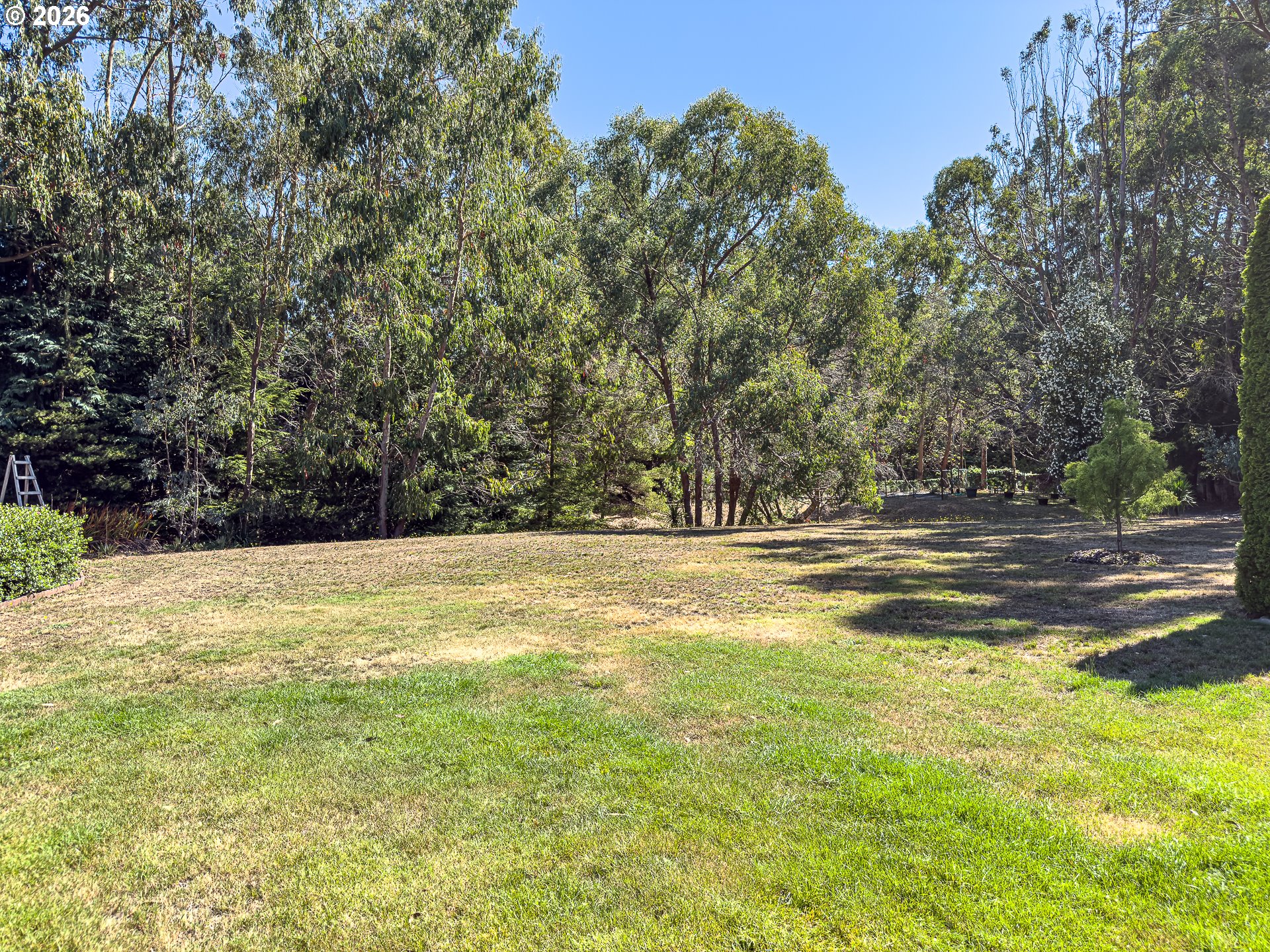 55980 Fishtale Rd Property Photo 44