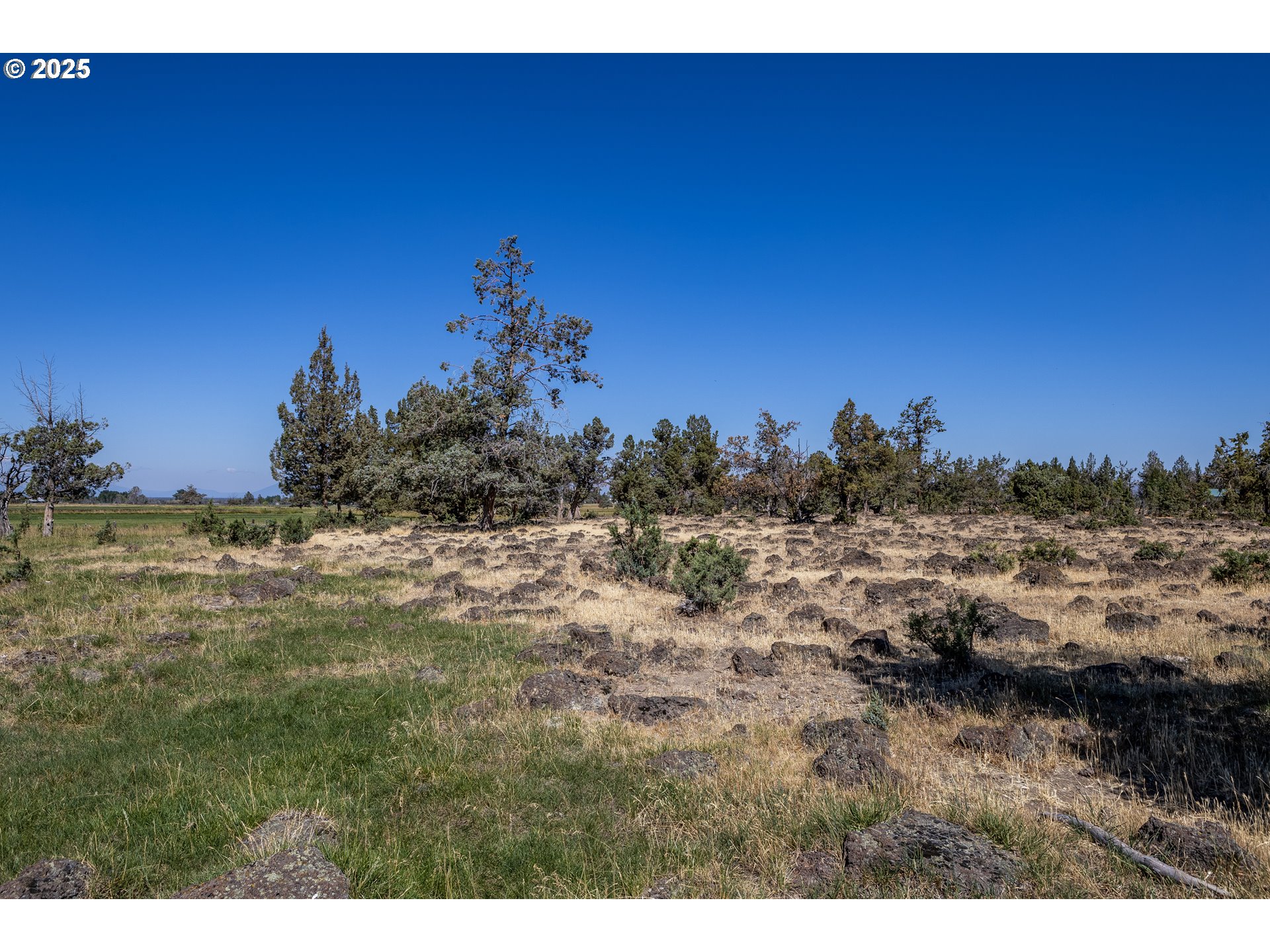 Parrish Ln Property Photo 4