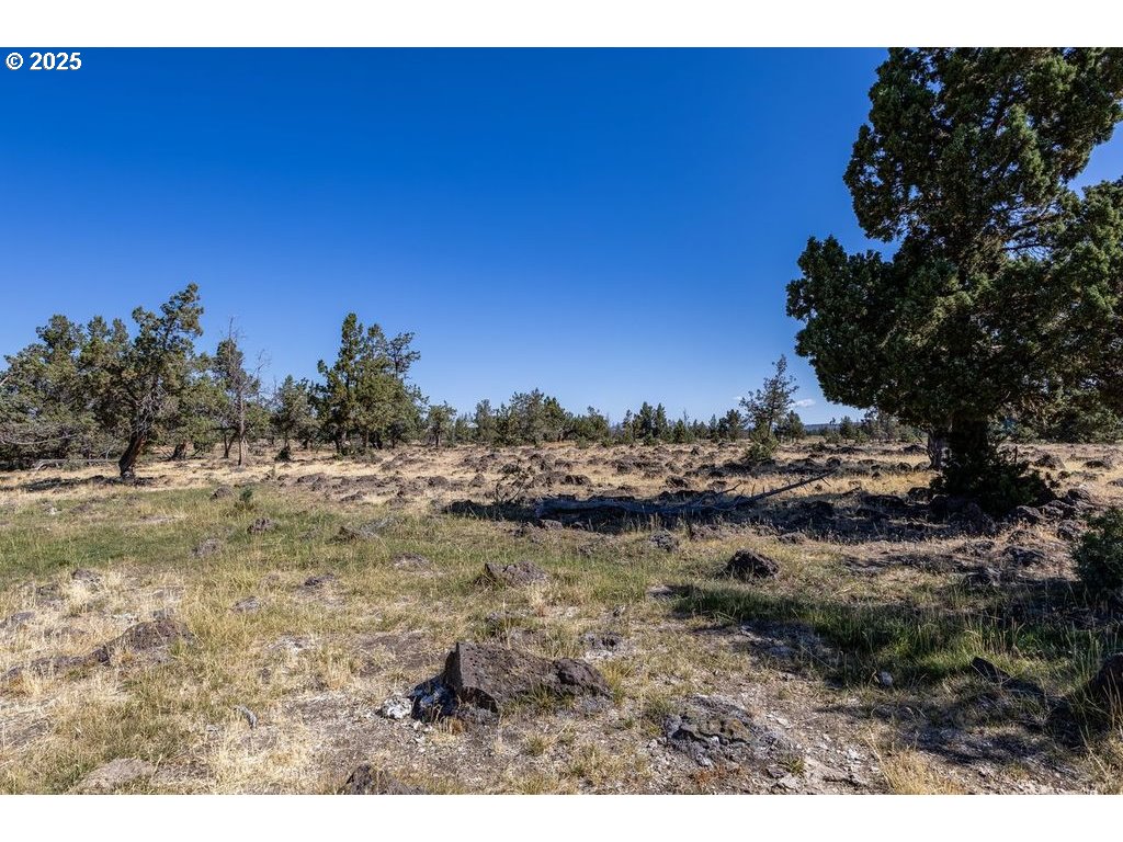 Parrish Ln Property Photo 5