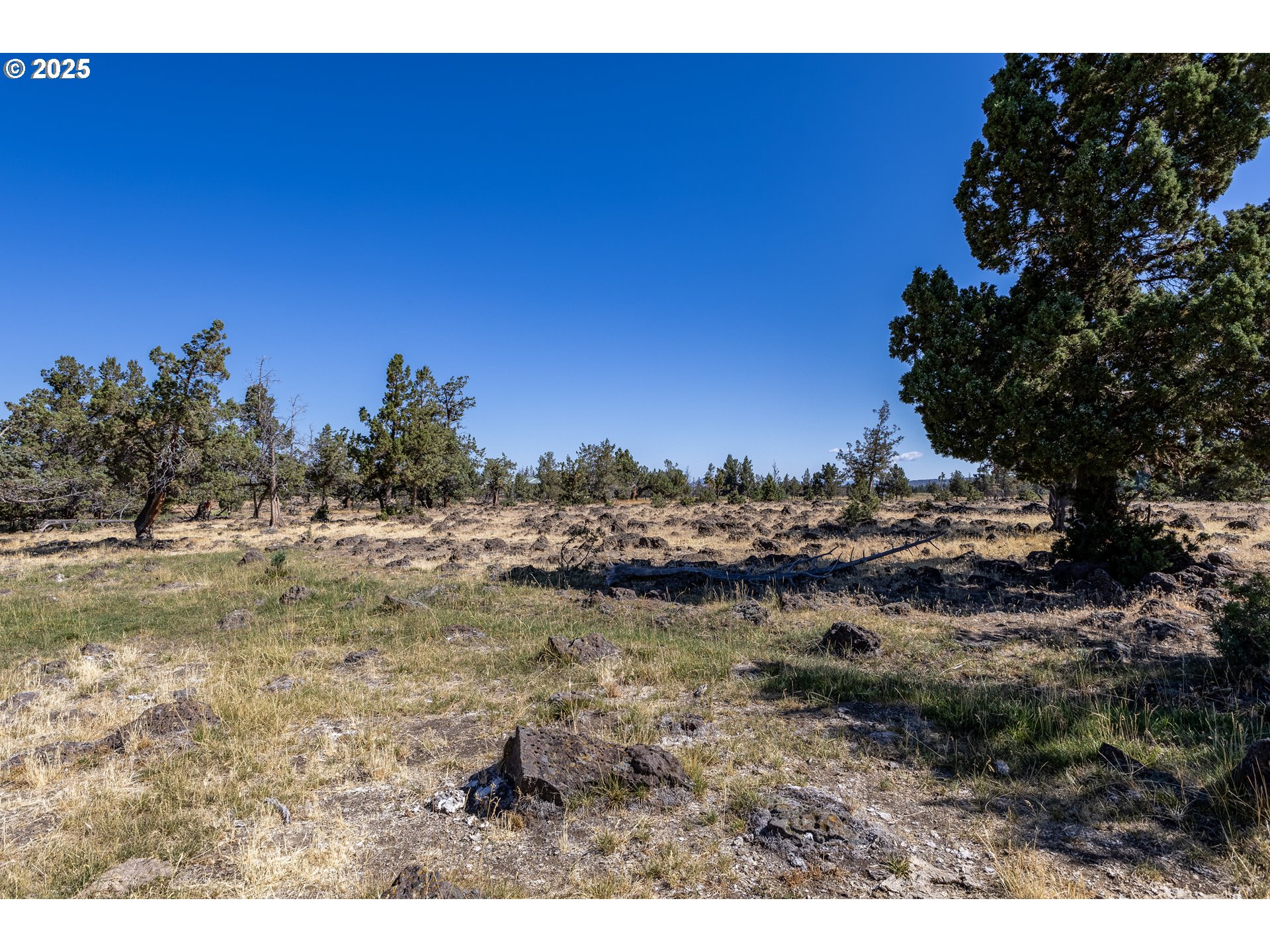 Parrish Ln Property Photo 6