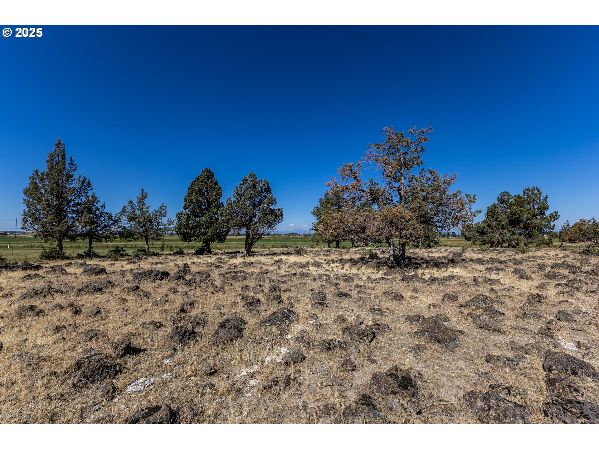 Parrish Ln Property Photo 7
