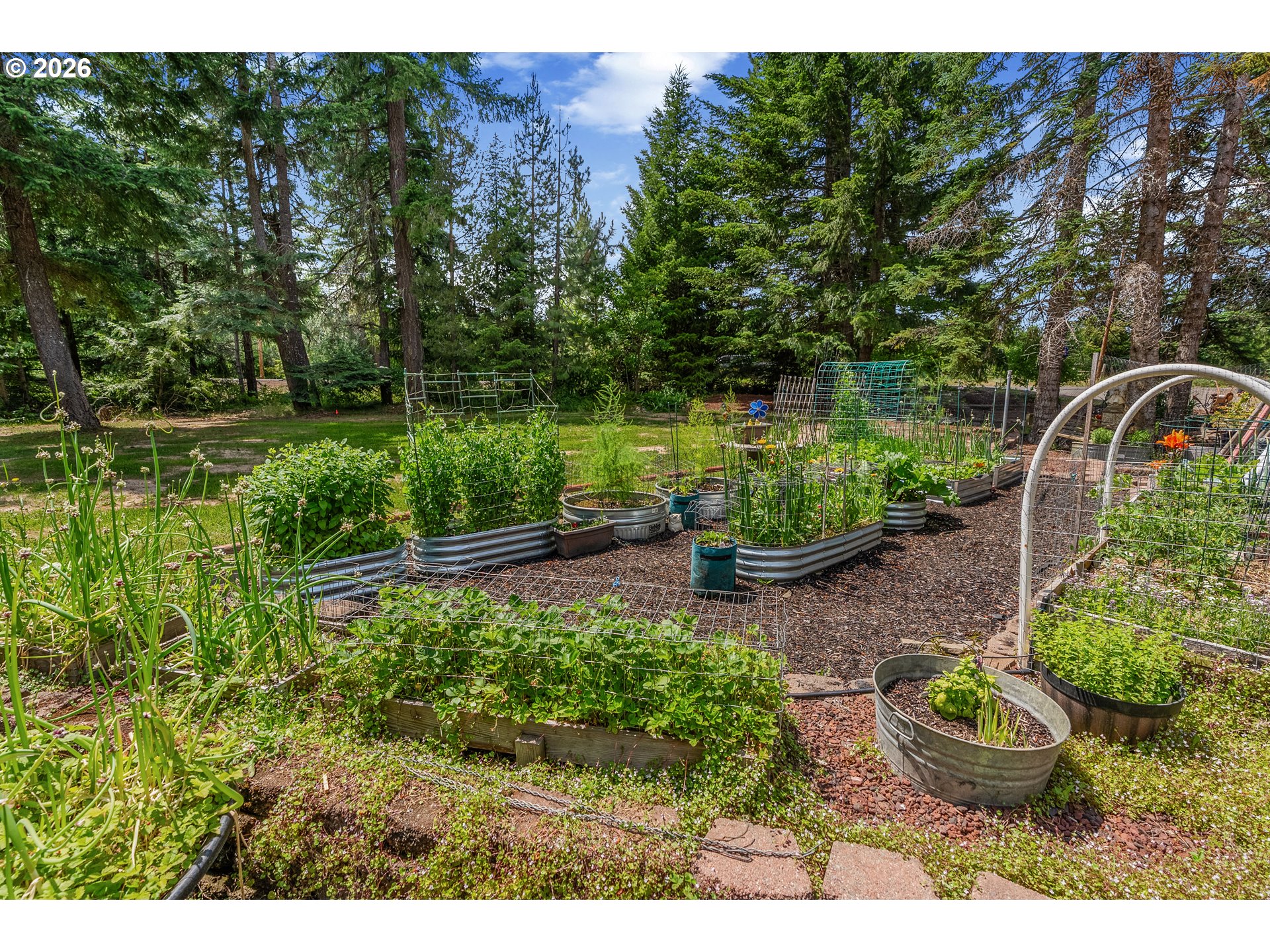 1320 Canyon Rd Property Photo 6