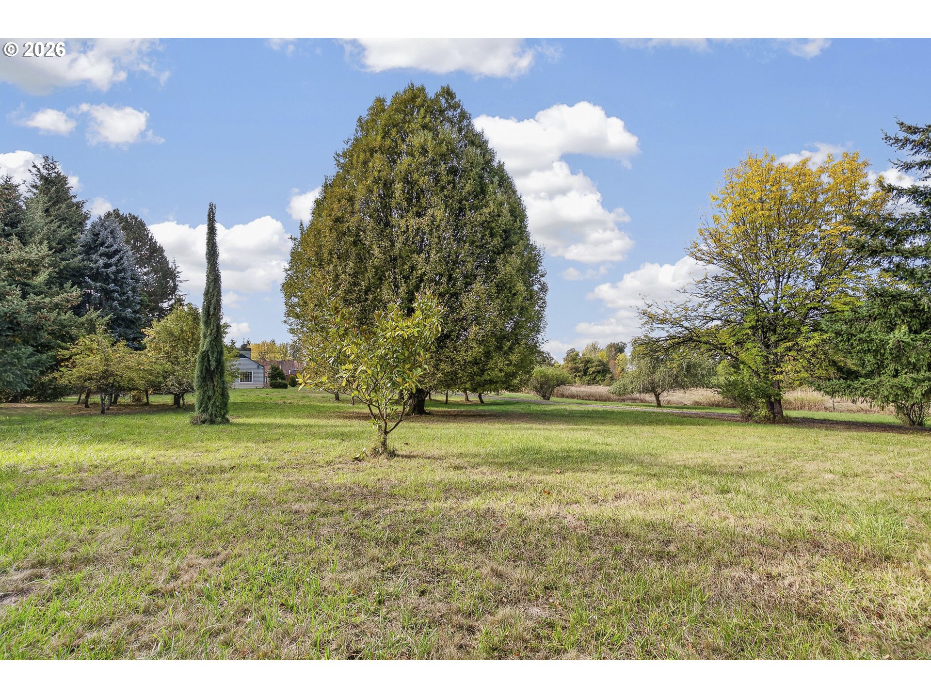 1303 Sw Eaton Blvd Property Photo 4