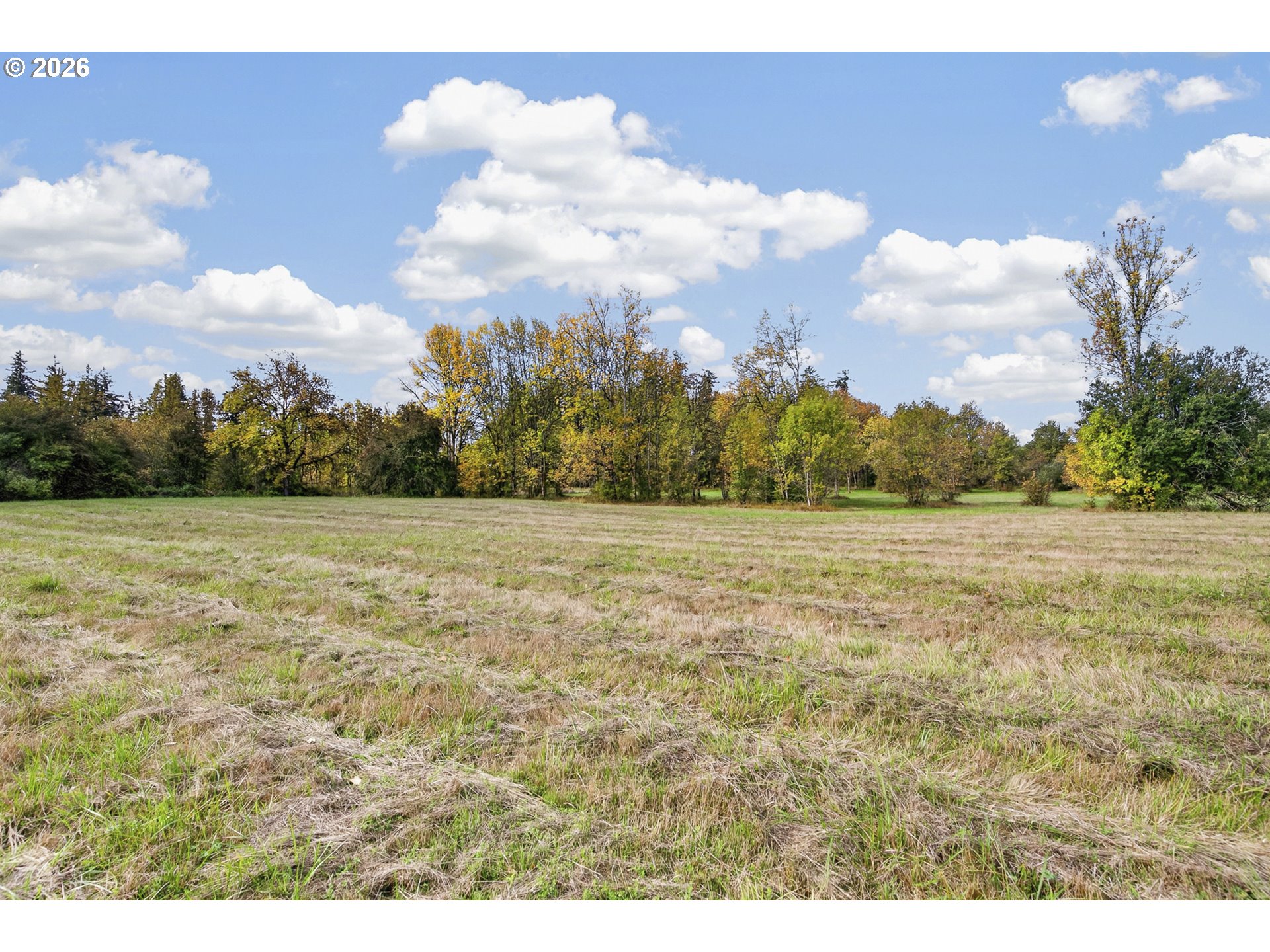 1303 Sw Eaton Blvd Property Photo 14