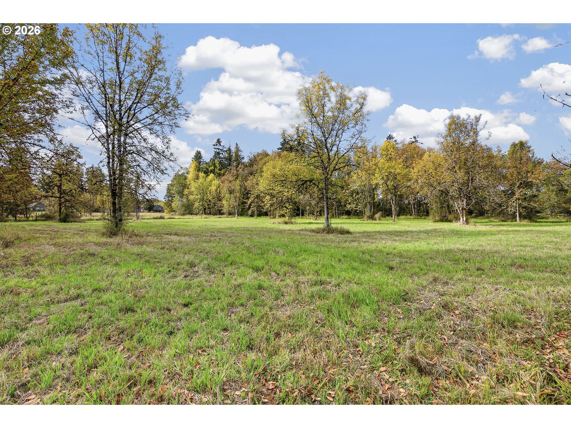 1303 Sw Eaton Blvd Property Photo 18