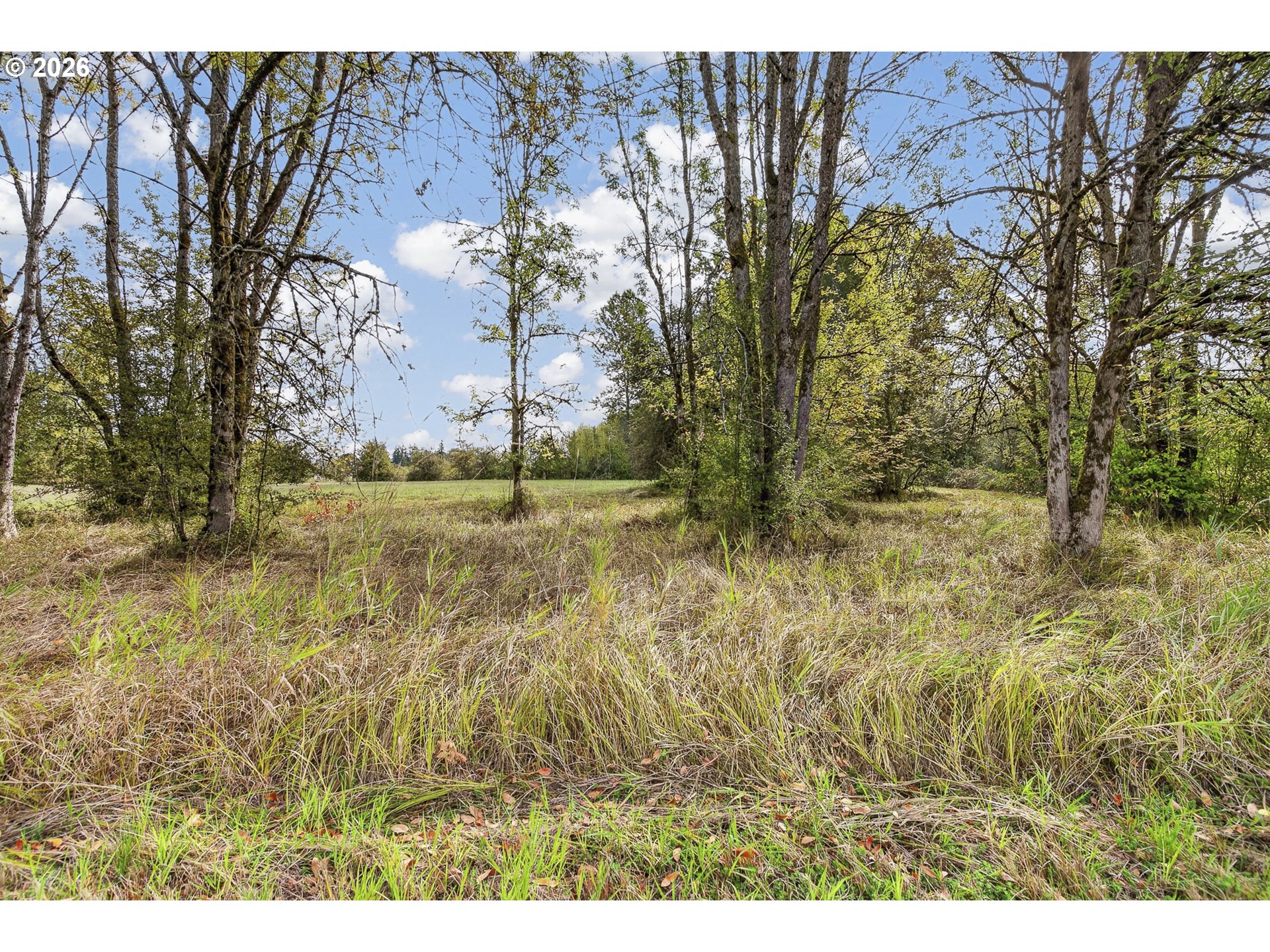 1303 Sw Eaton Blvd Property Photo 19