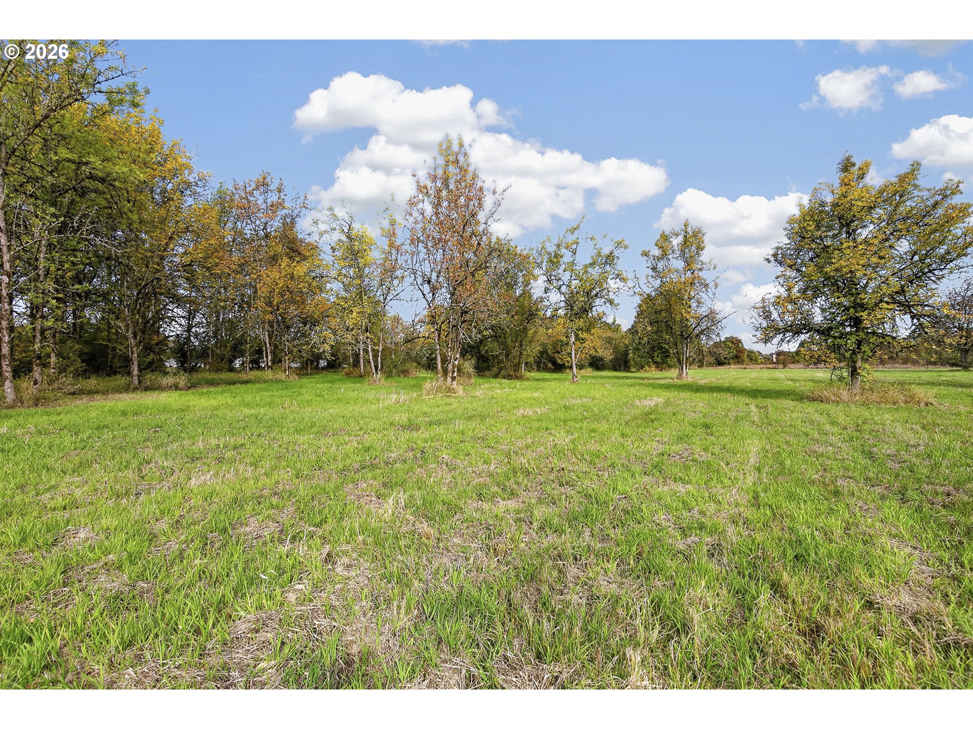 1303 Sw Eaton Blvd Property Photo 22