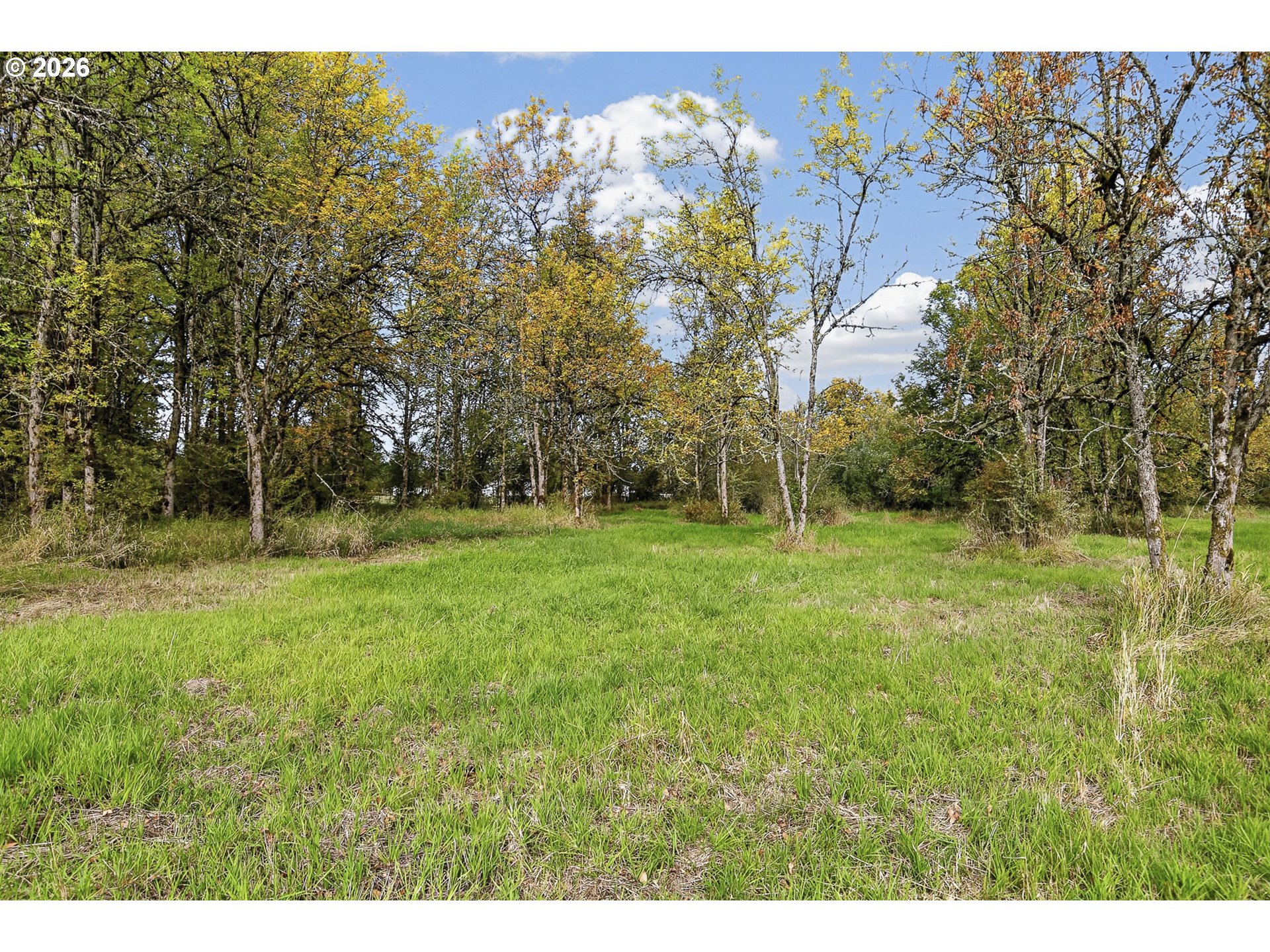 1303 Sw Eaton Blvd Property Photo 23
