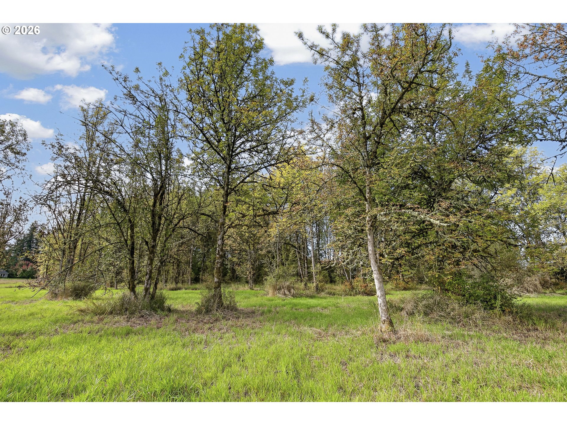 1303 Sw Eaton Blvd Property Photo 26