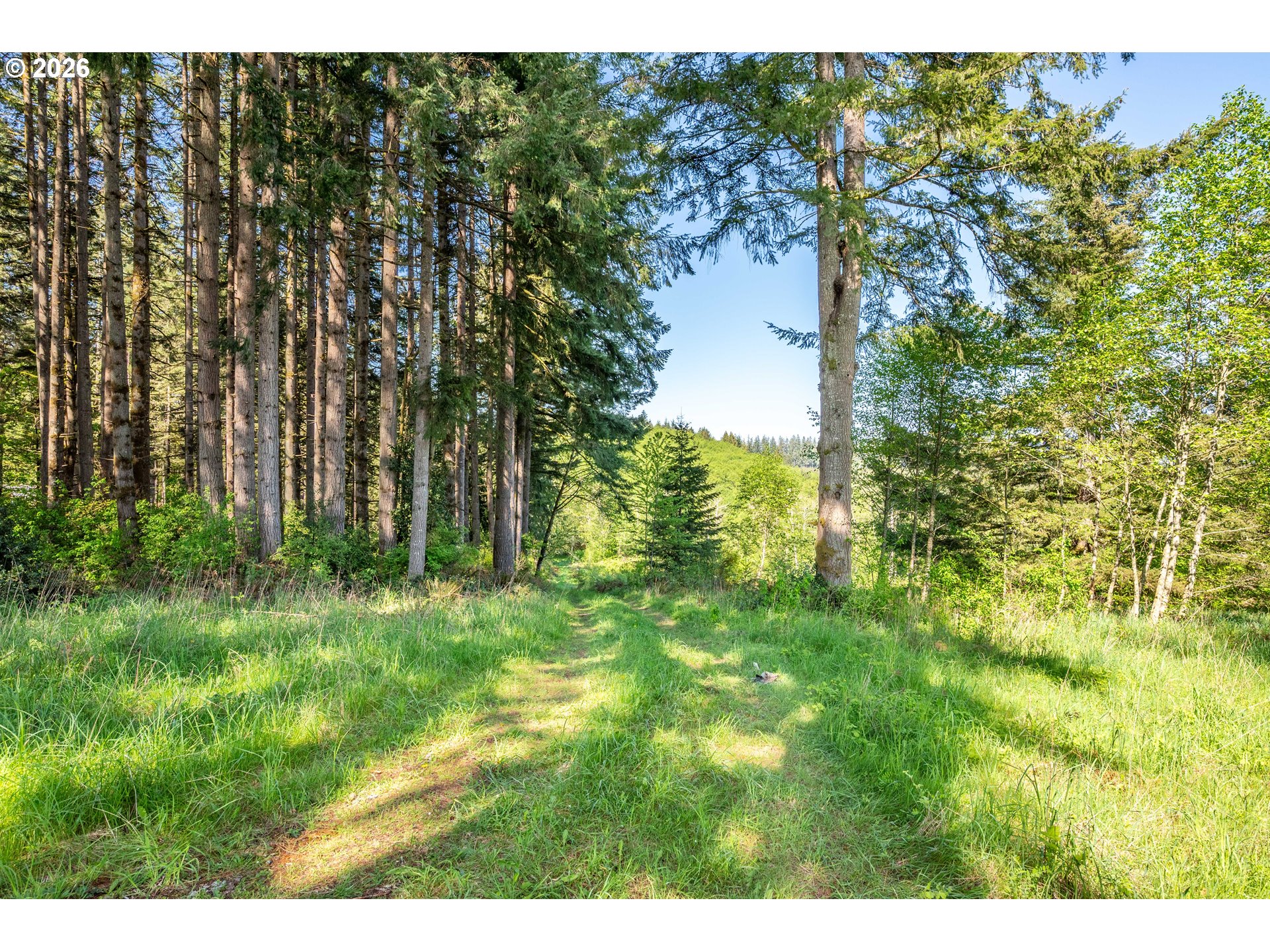 26977 Hammond Rd Property Photo 24