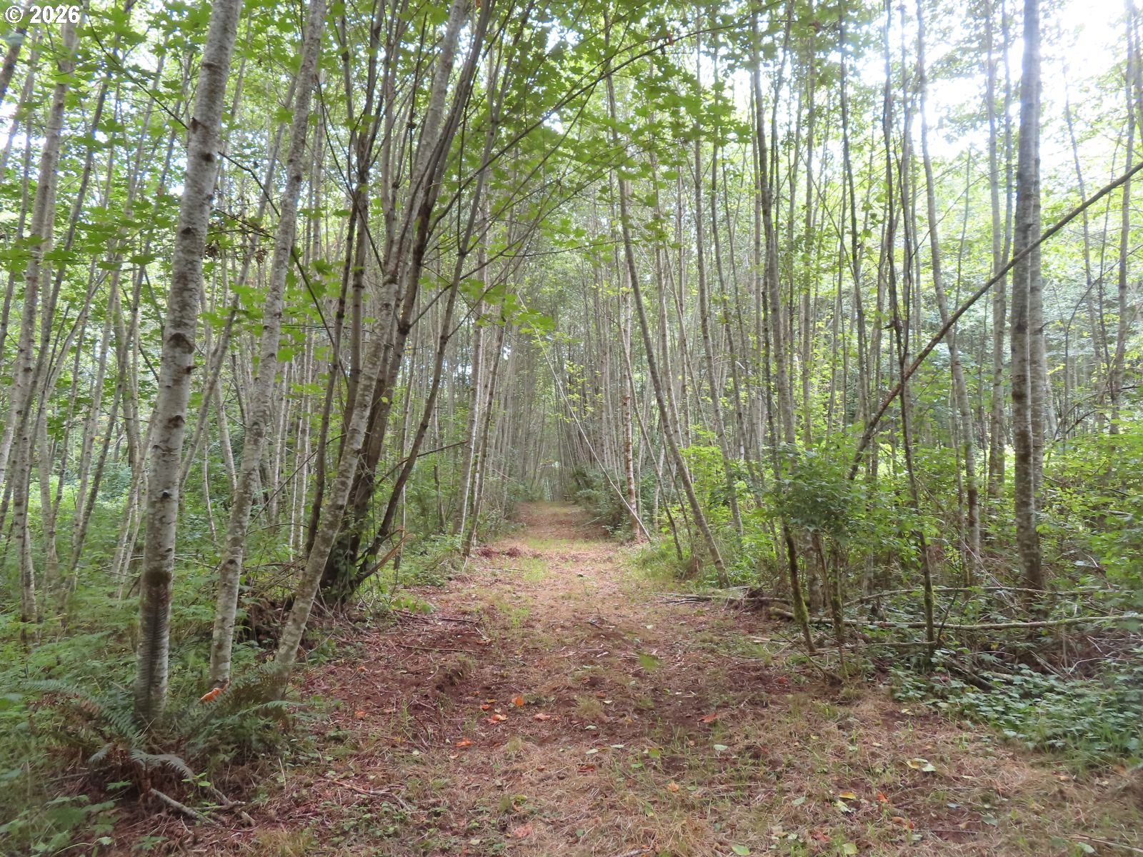 Del Ray Rd Property Photo 5