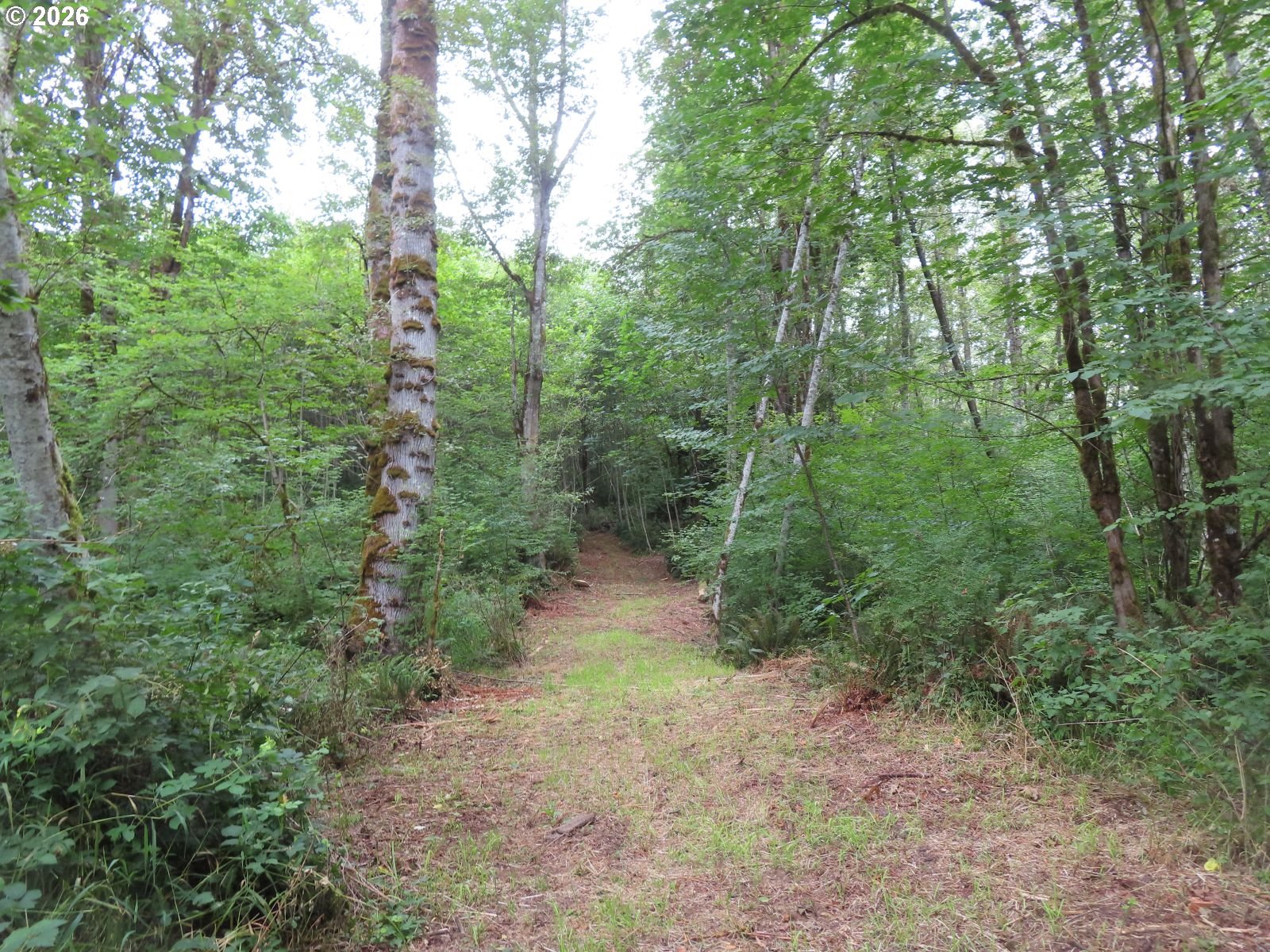 Del Ray Rd Property Photo 8
