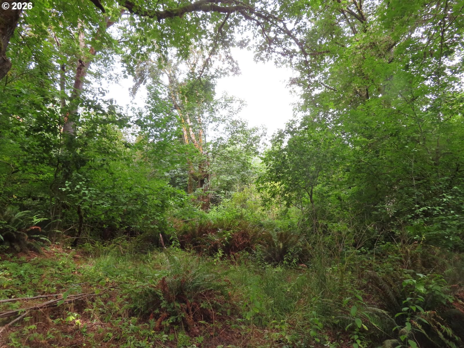 Del Ray Rd Property Photo 10