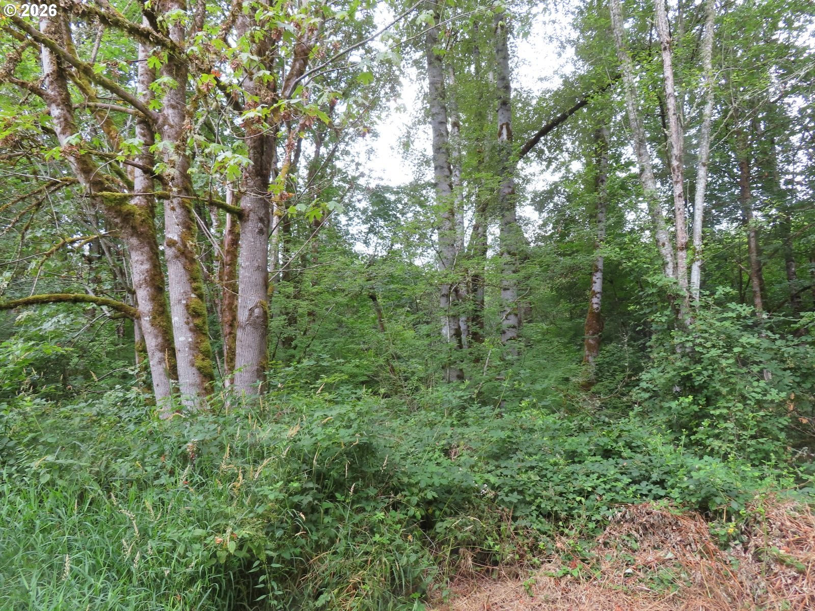 Del Ray Rd Property Photo 11