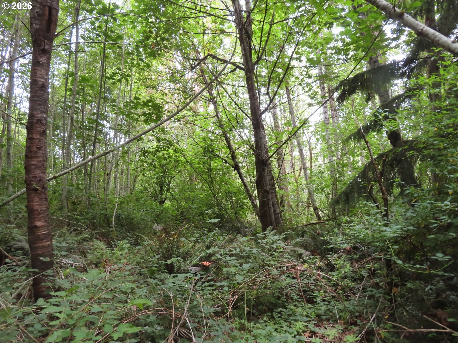 Del Ray Rd Property Photo 12