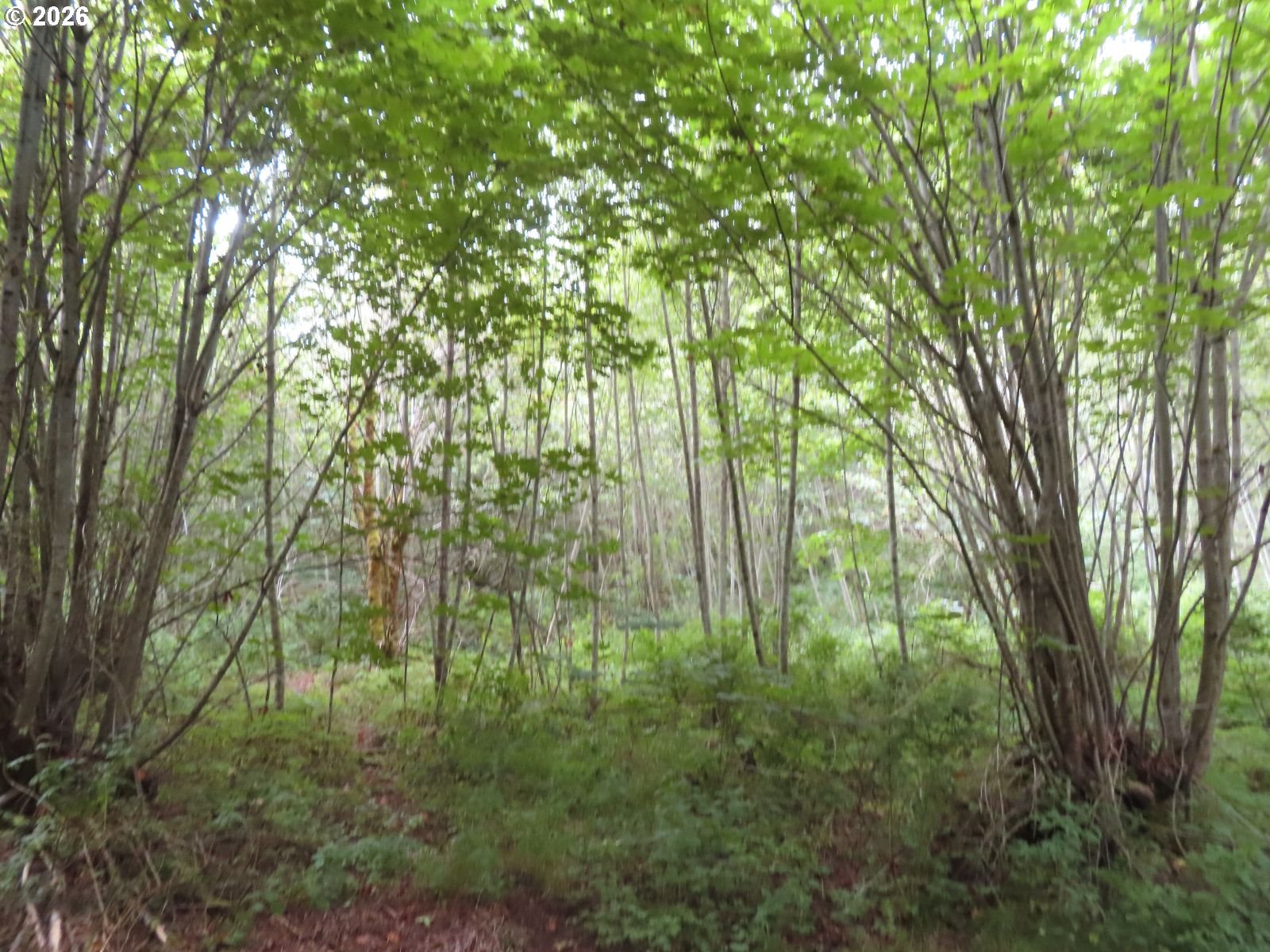 Del Ray Rd Property Photo 14