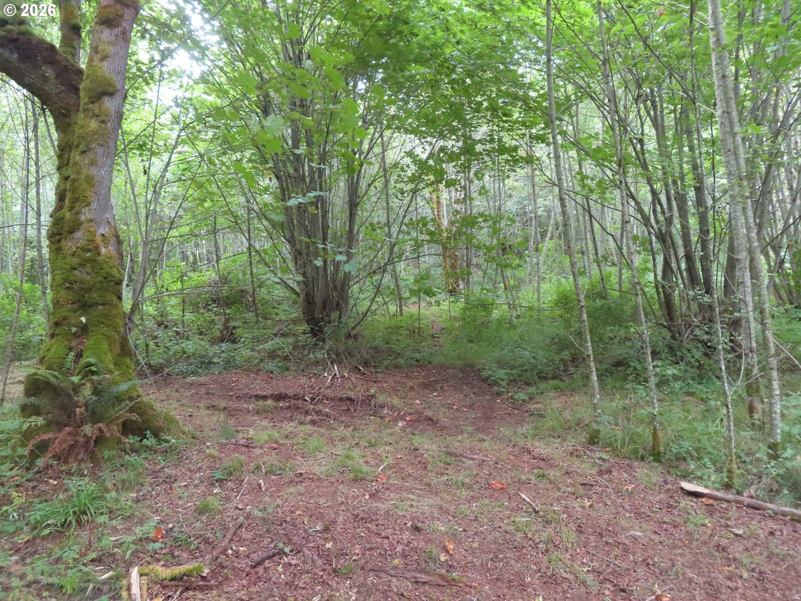 Del Ray Rd Property Photo 15