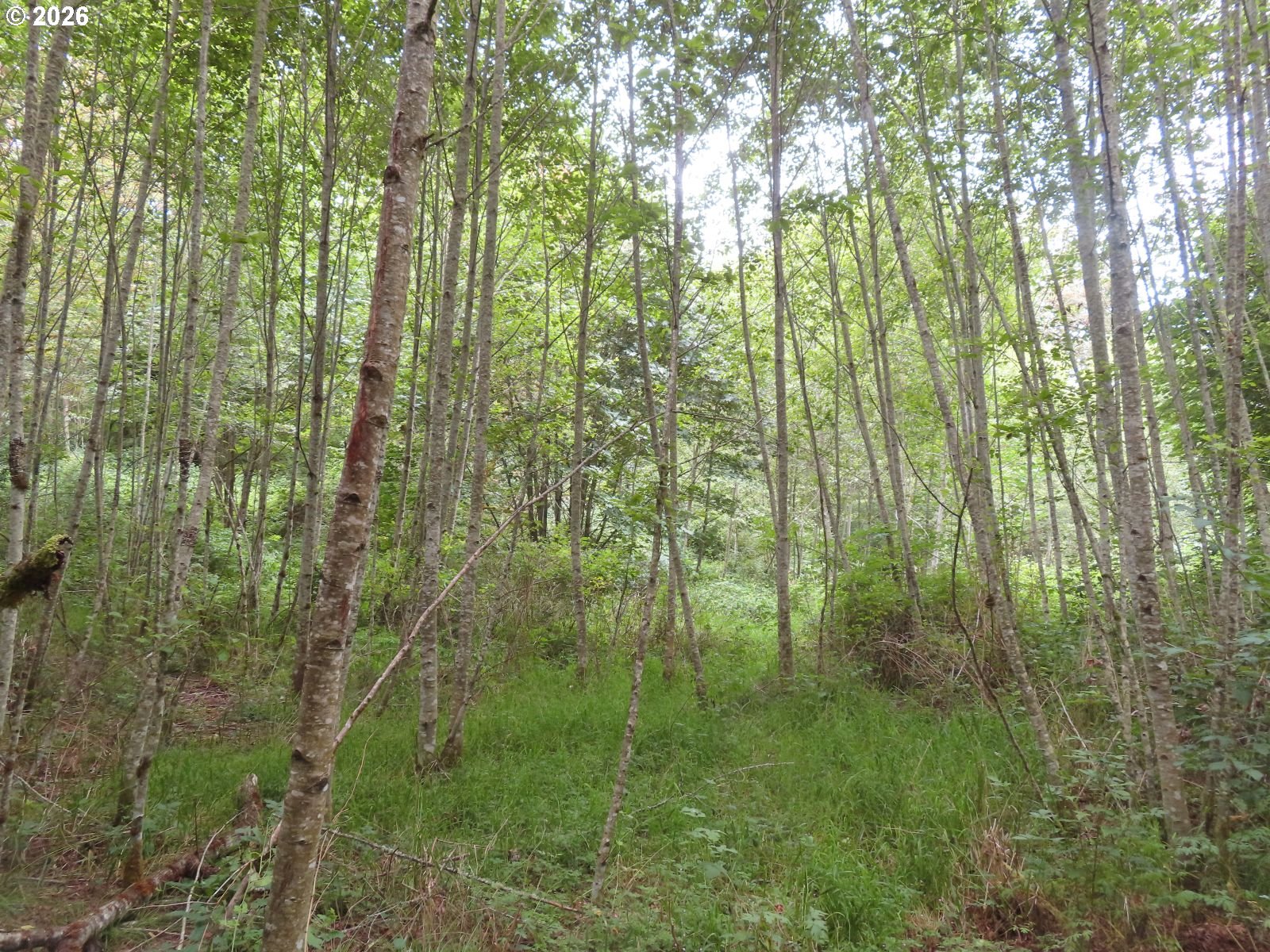 Del Ray Rd Property Photo 16