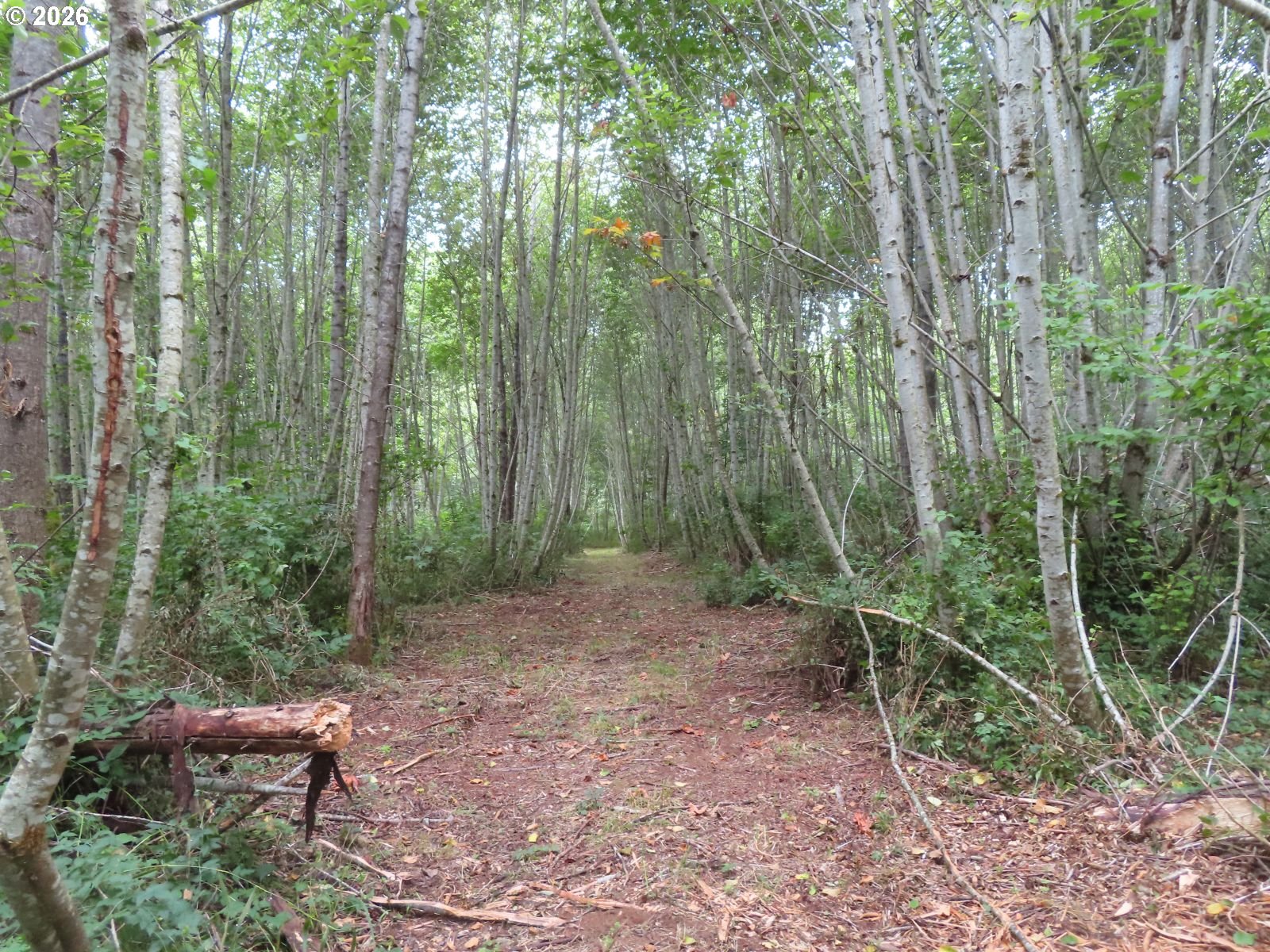 Del Ray Rd Property Photo 18