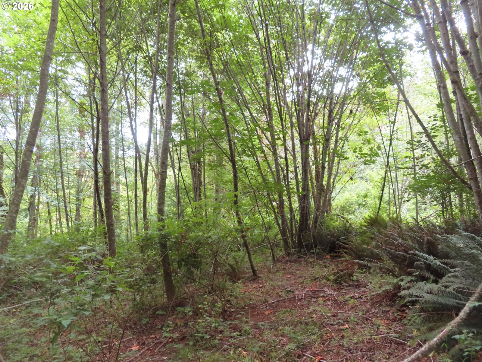 Del Ray Rd Property Photo 19
