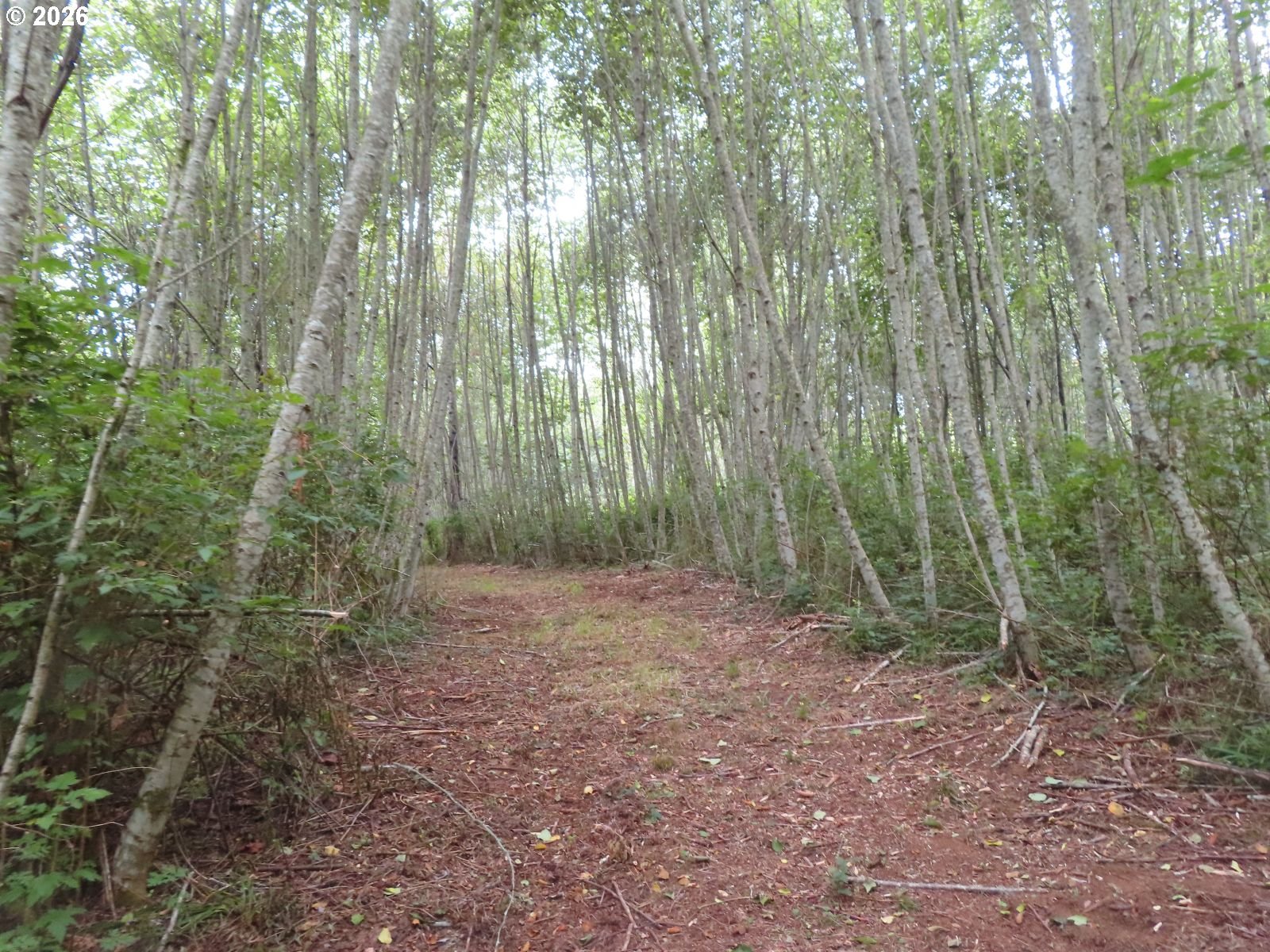 Del Ray Rd Property Photo 20