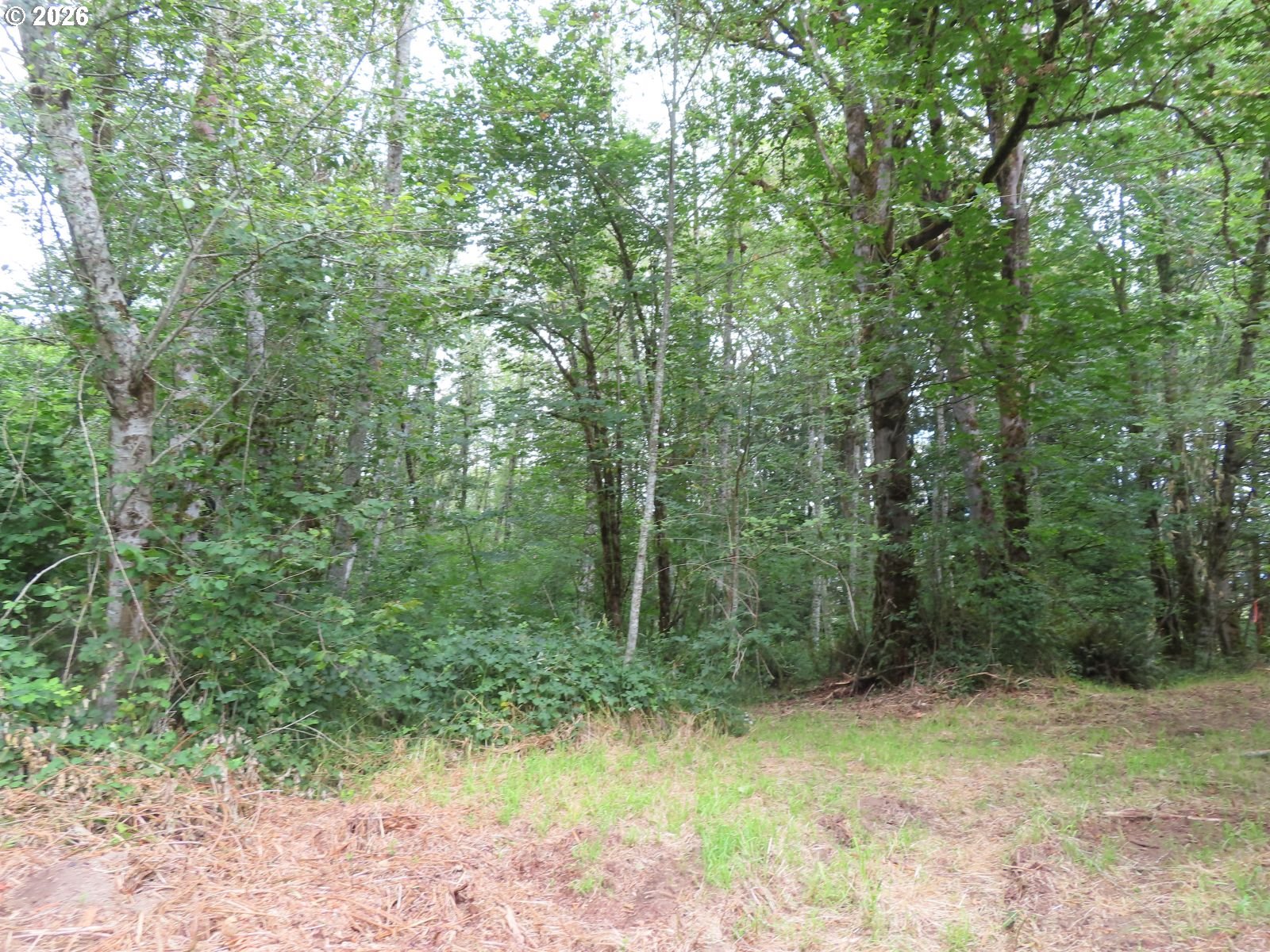Del Ray Rd Property Photo 21