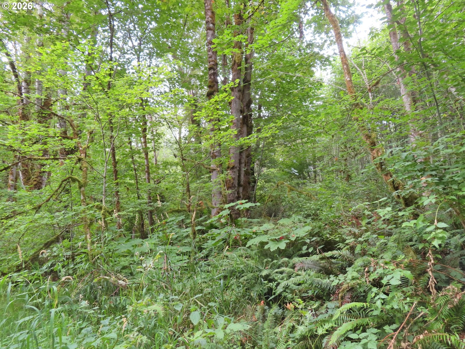 Del Ray Rd Property Photo 22