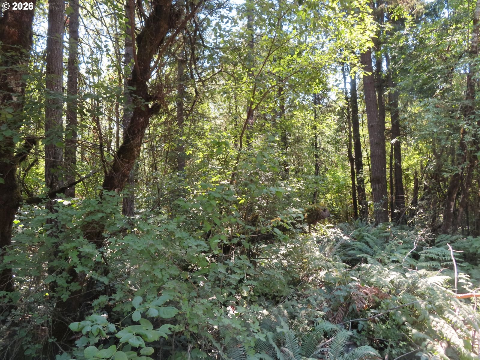 Del Ray Rd Property Photo 23