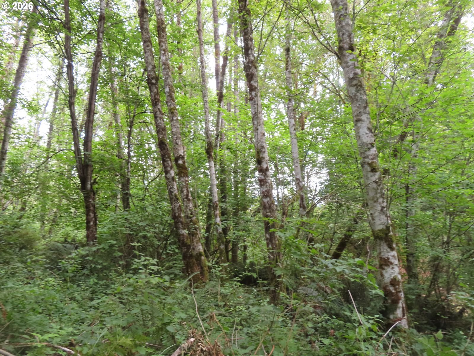 Del Ray Rd Property Photo 24
