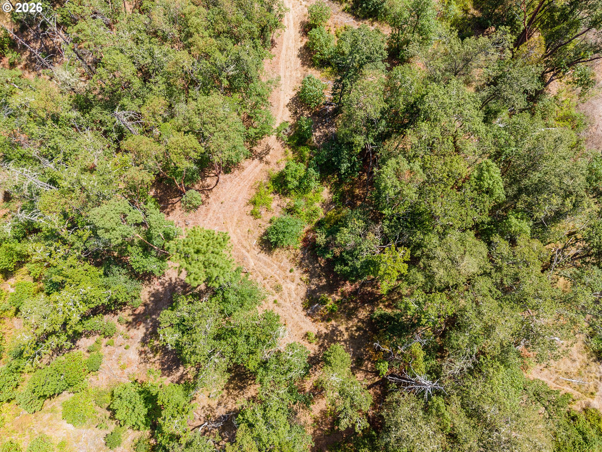 Mulberry Ln Property Photo 16