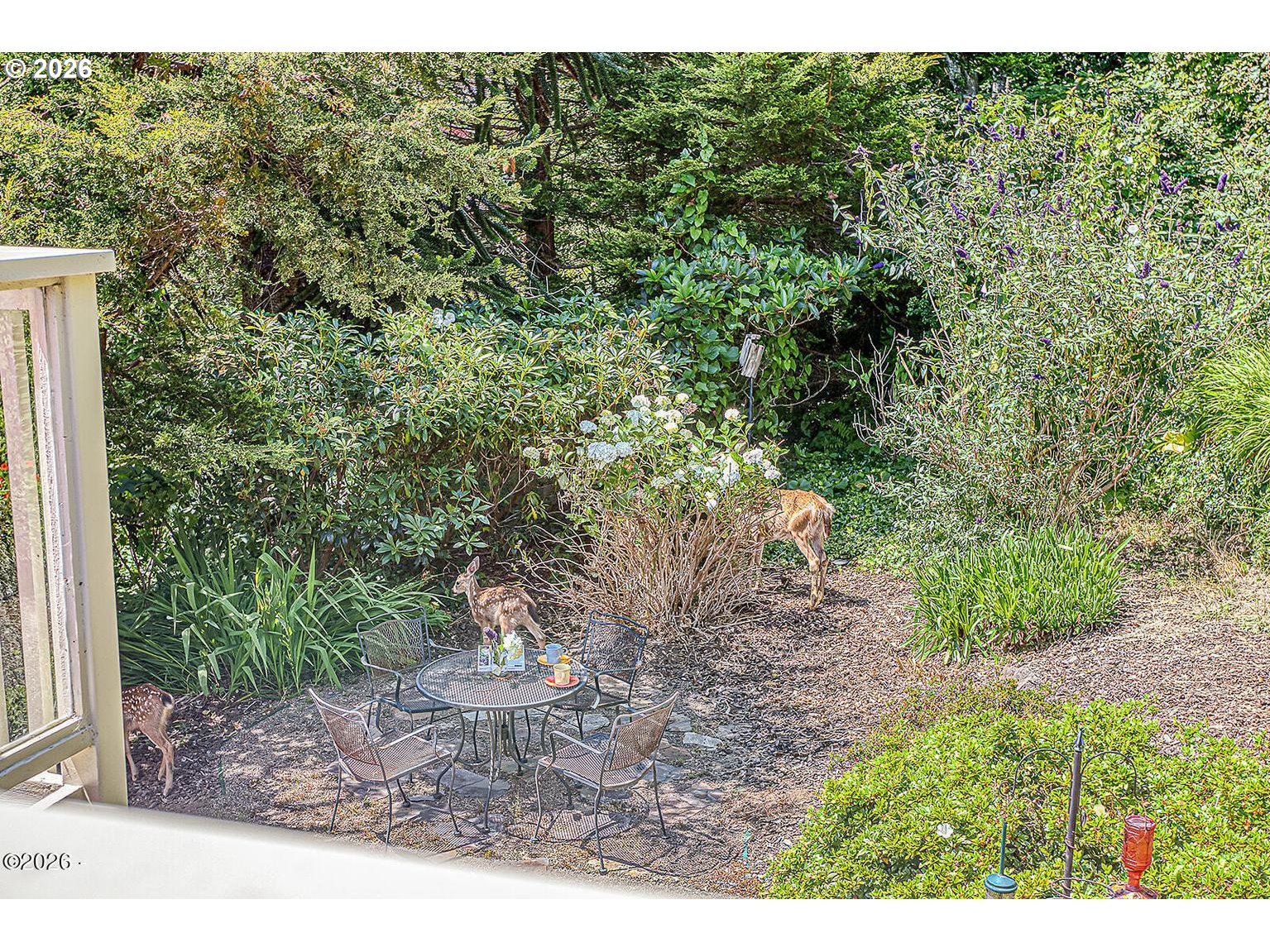355 Horizon Hill Rd Property Photo 44
