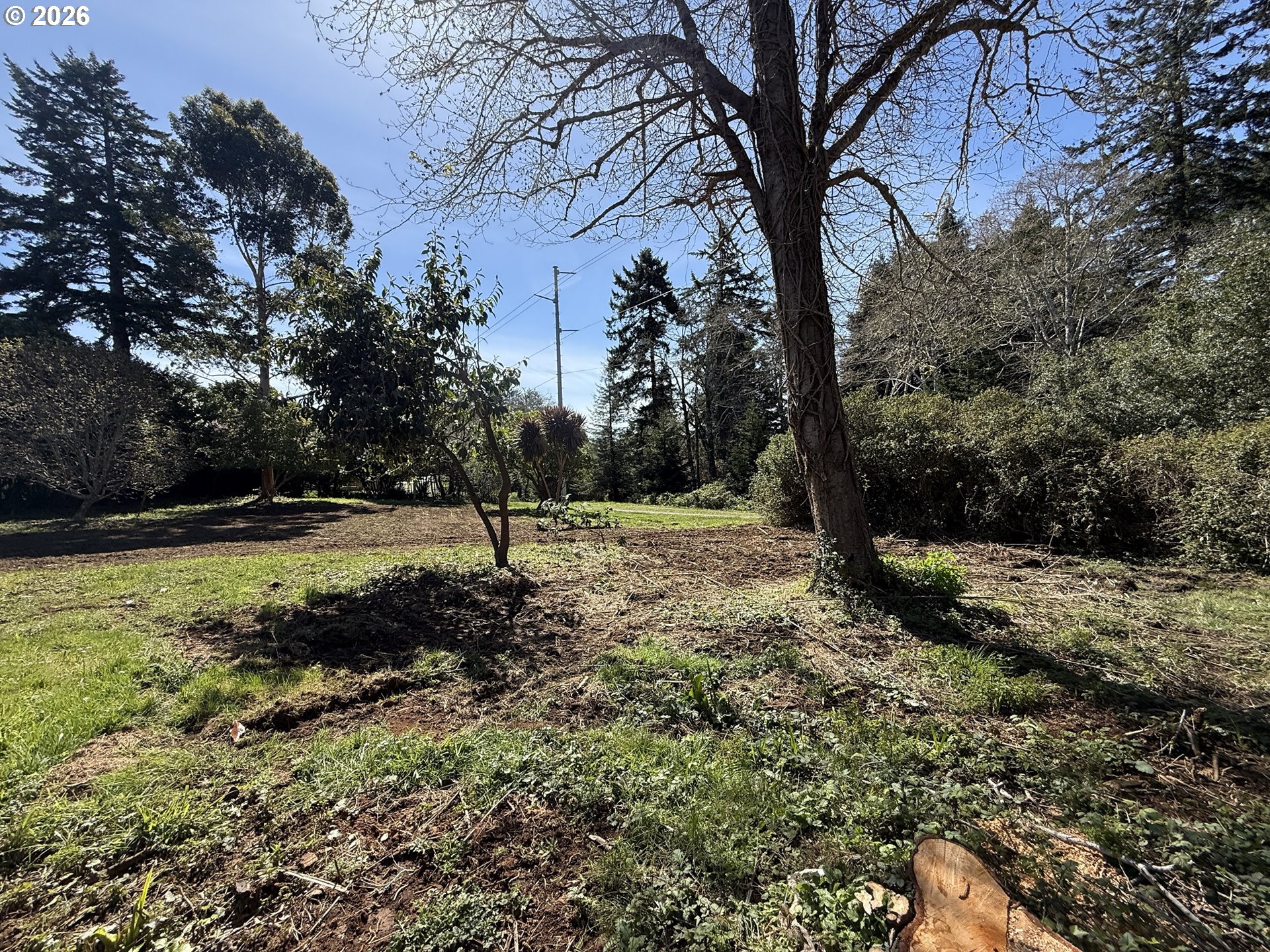 1300 Hampton Rd Property Photo 15