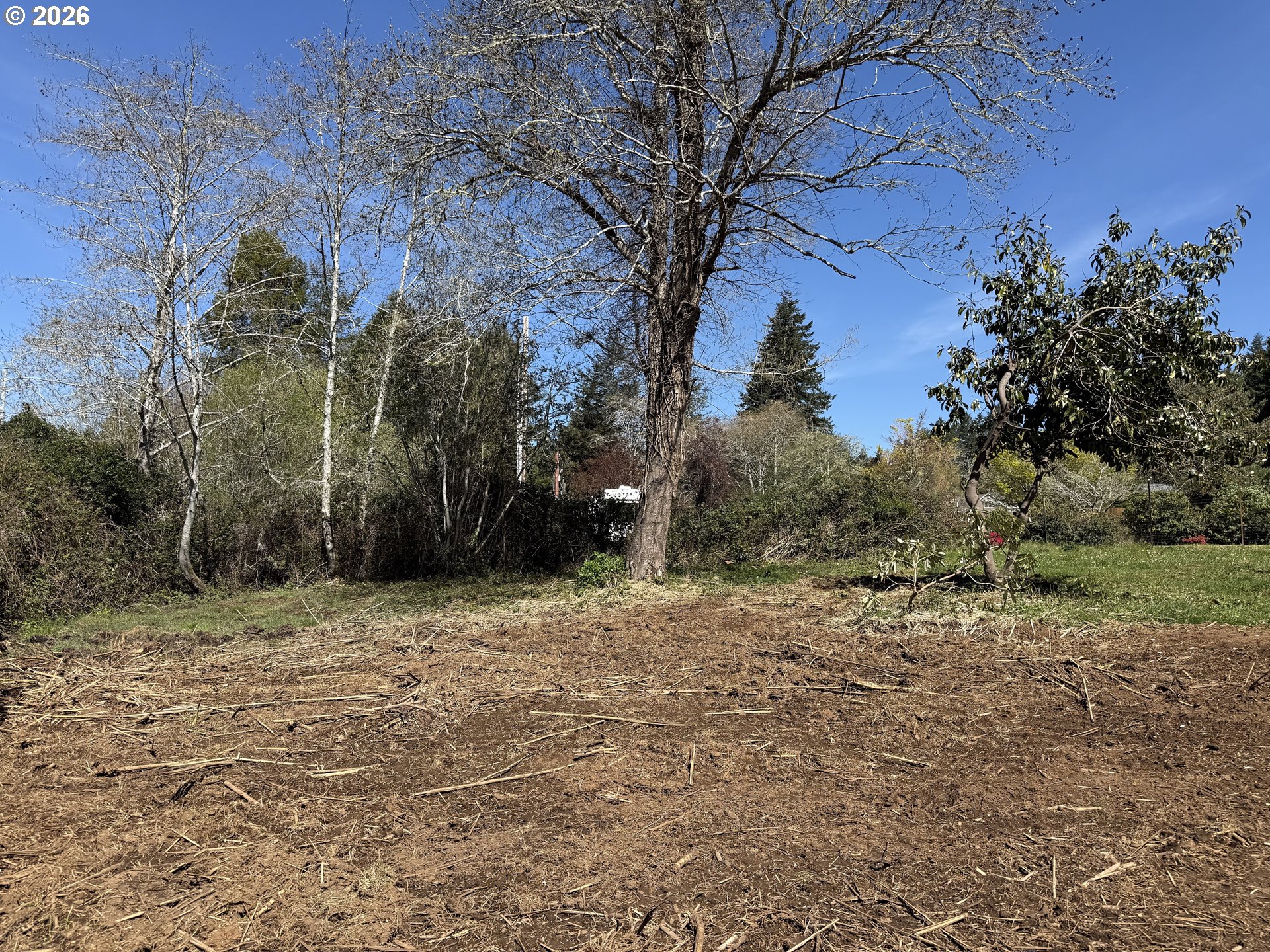 1300 Hampton Rd Property Photo 17