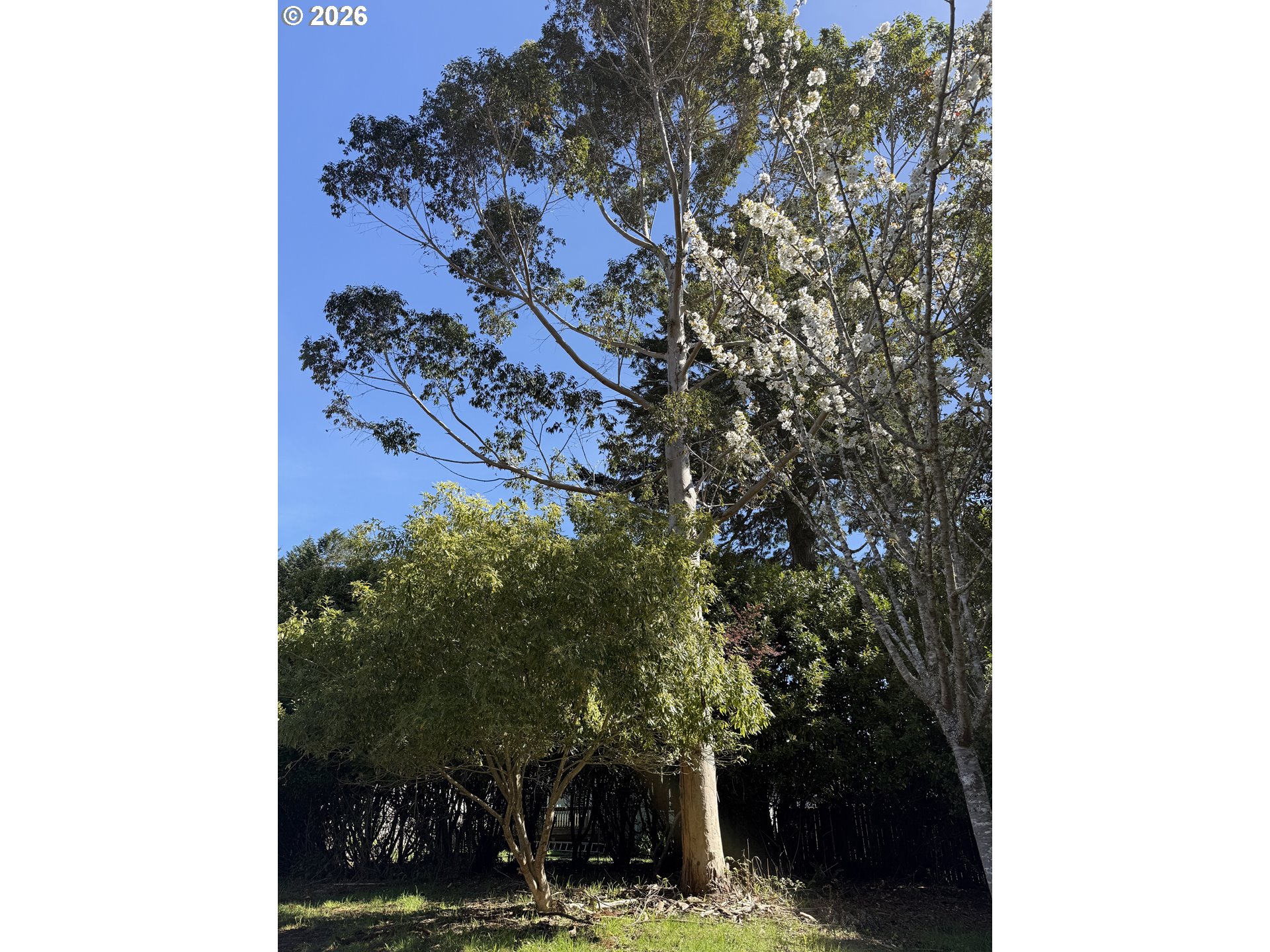 1300 Hampton Rd Property Photo 24