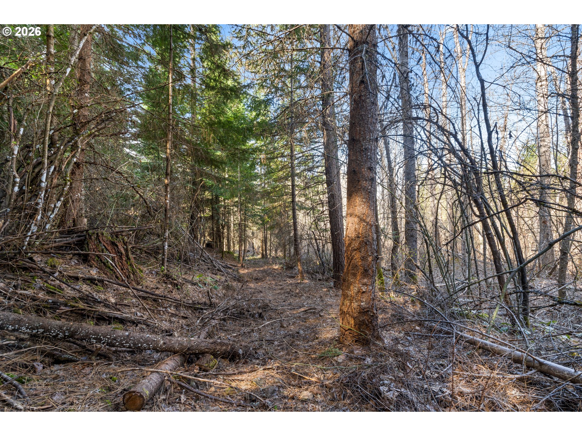 Stoller Rd Property Photo 5