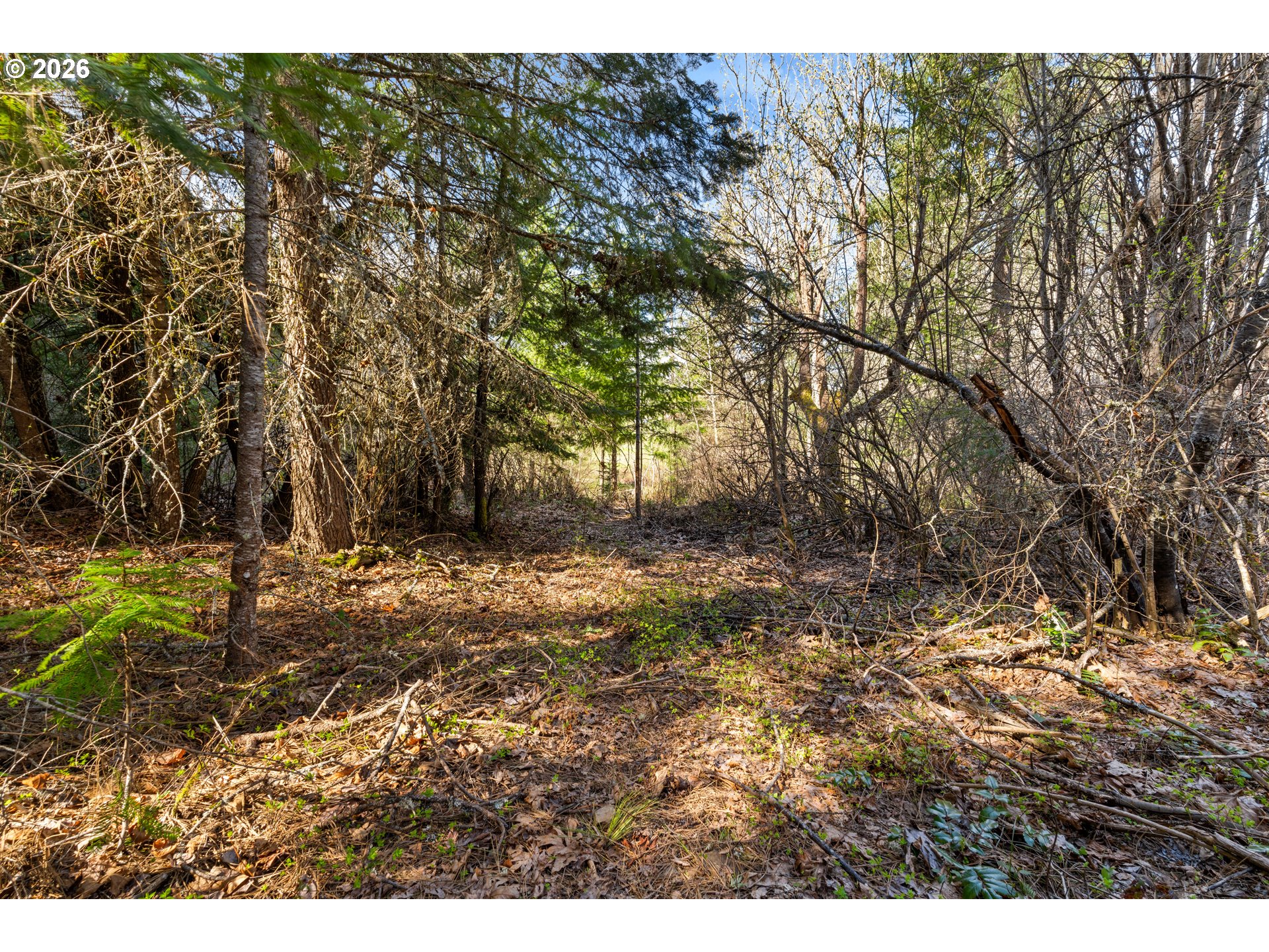 Stoller Rd Property Photo 6
