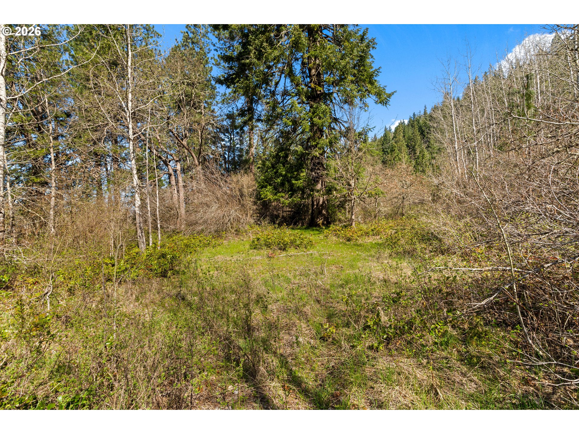 Stoller Rd Property Photo 8