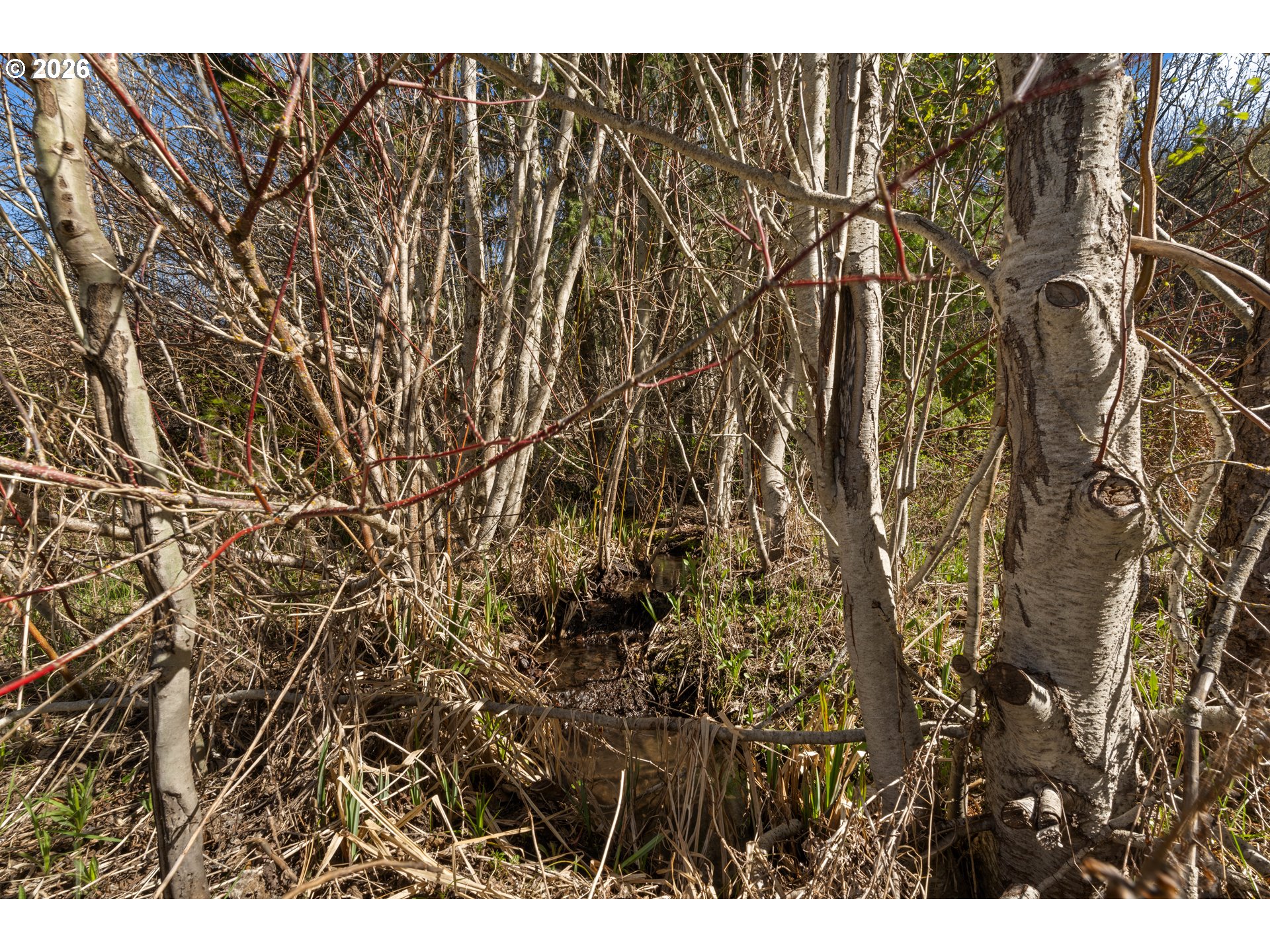 Stoller Rd Property Photo 23