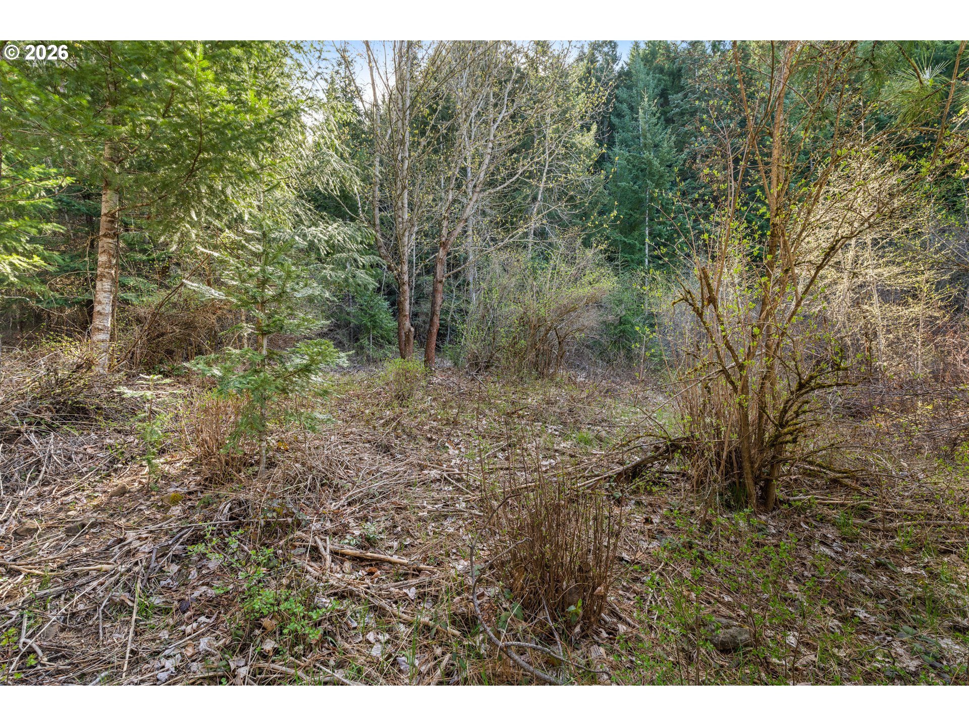 Stoller Rd Property Photo 33