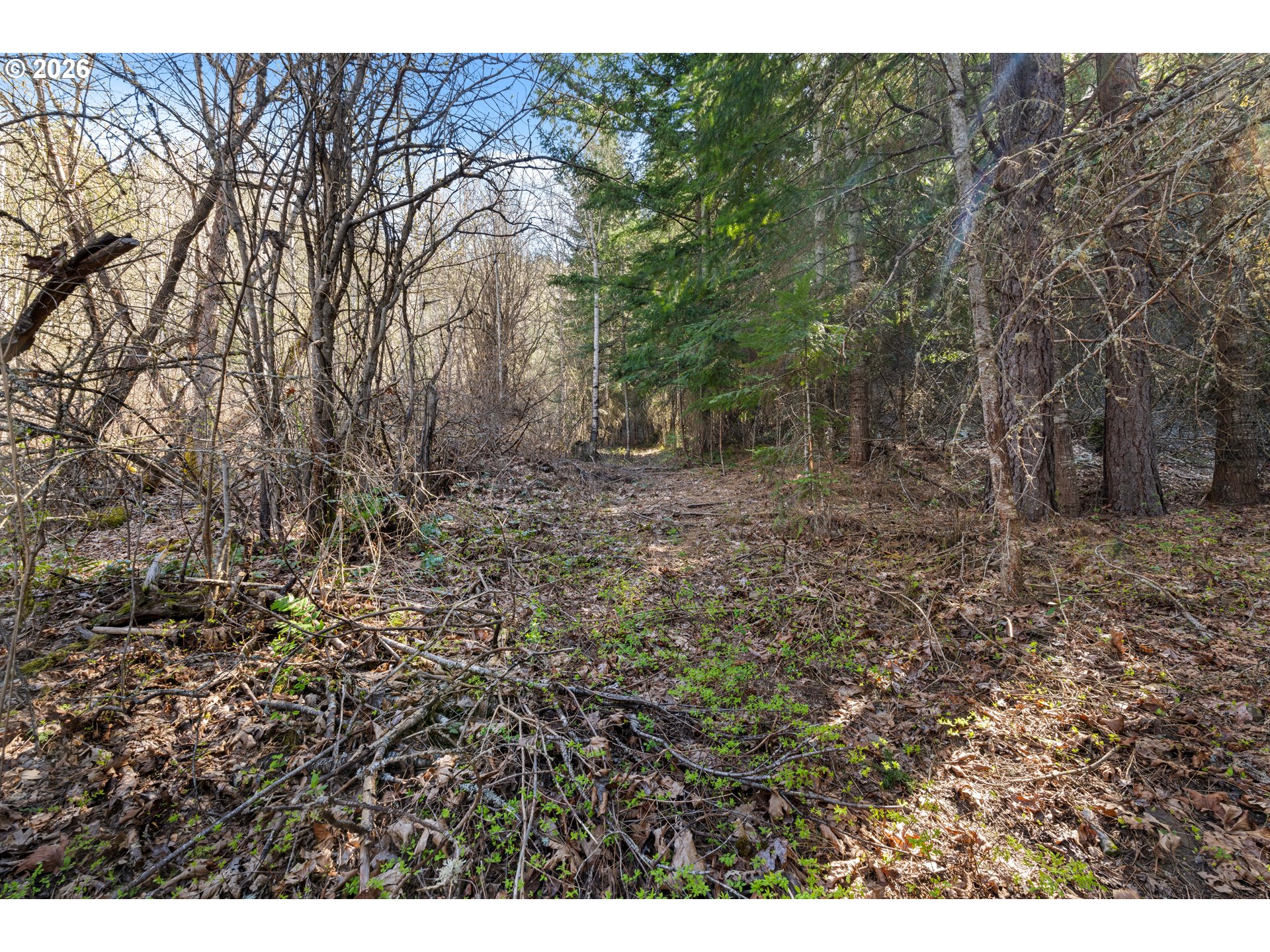 Stoller Rd Property Photo 34