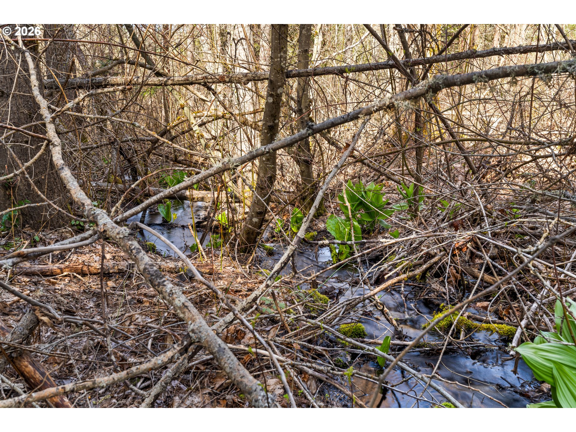 Stoller Rd Property Photo 35