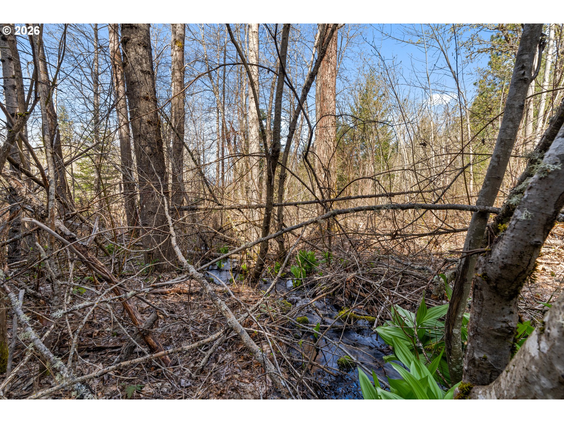 Stoller Rd Property Photo 36