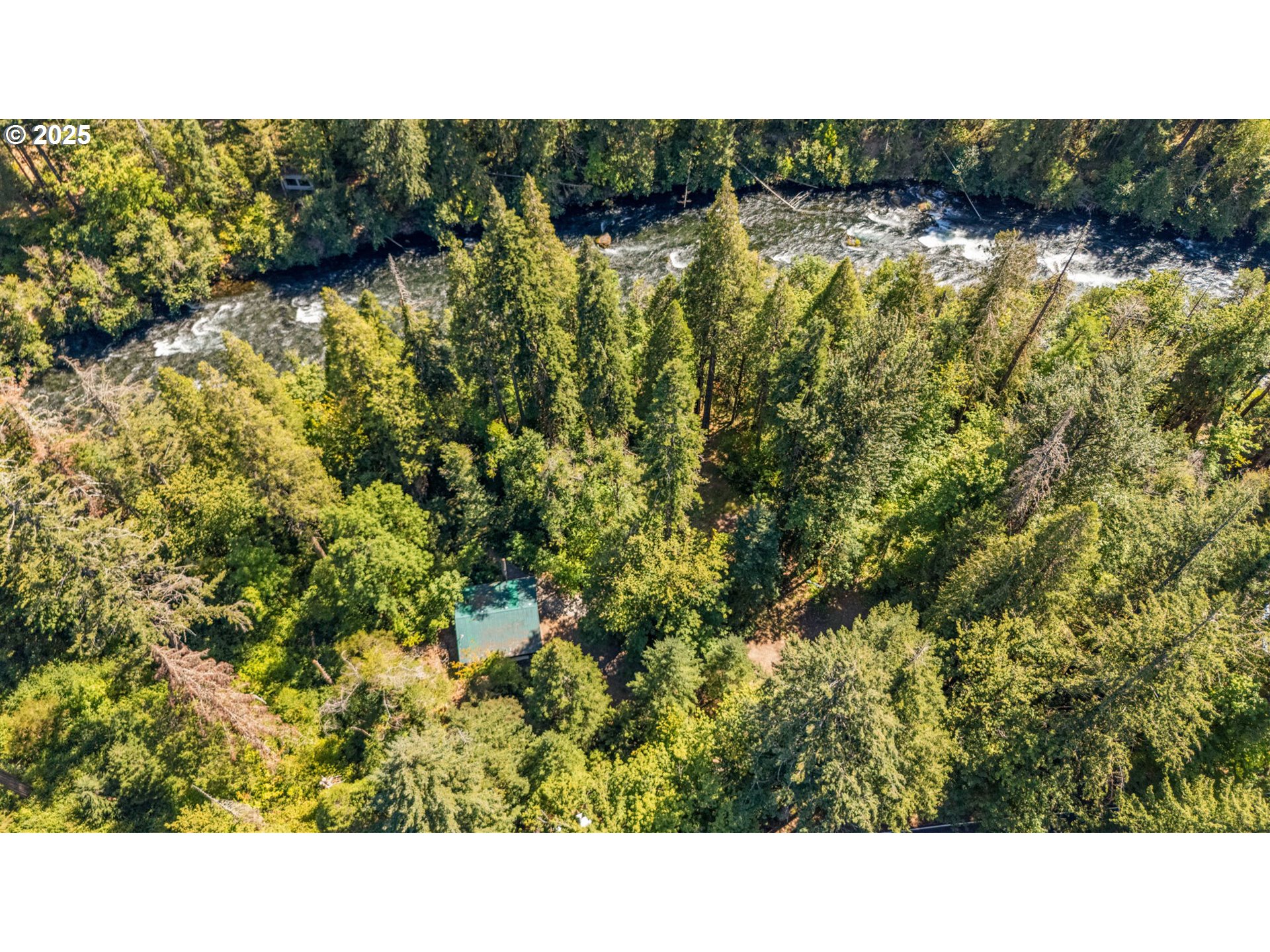 Mckenzie River Dr 1800 Property Photo 2