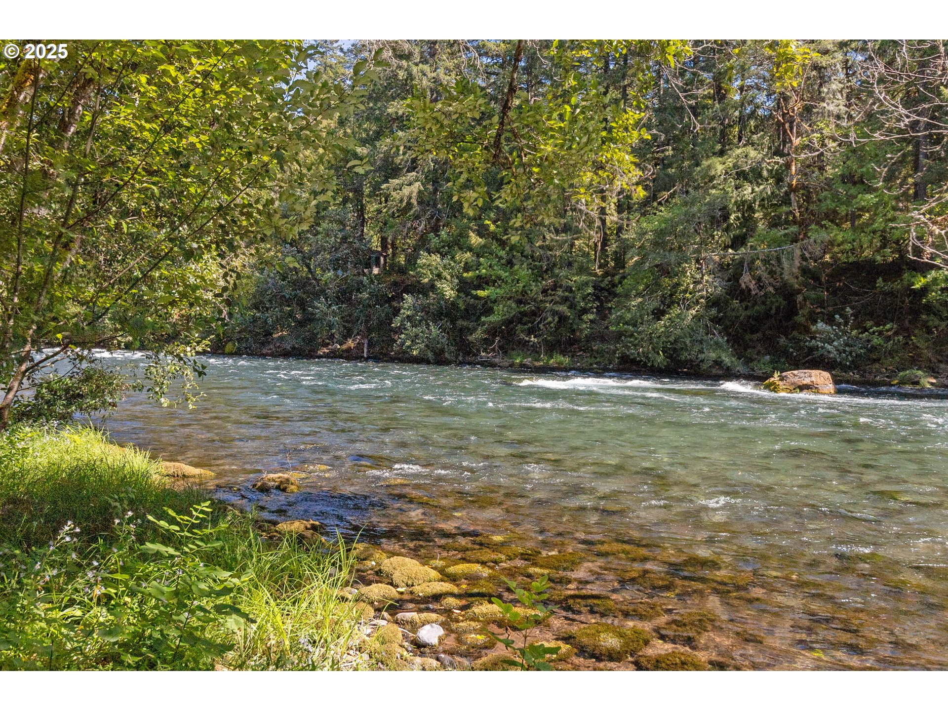Mckenzie River Dr 1800 Property Photo 3
